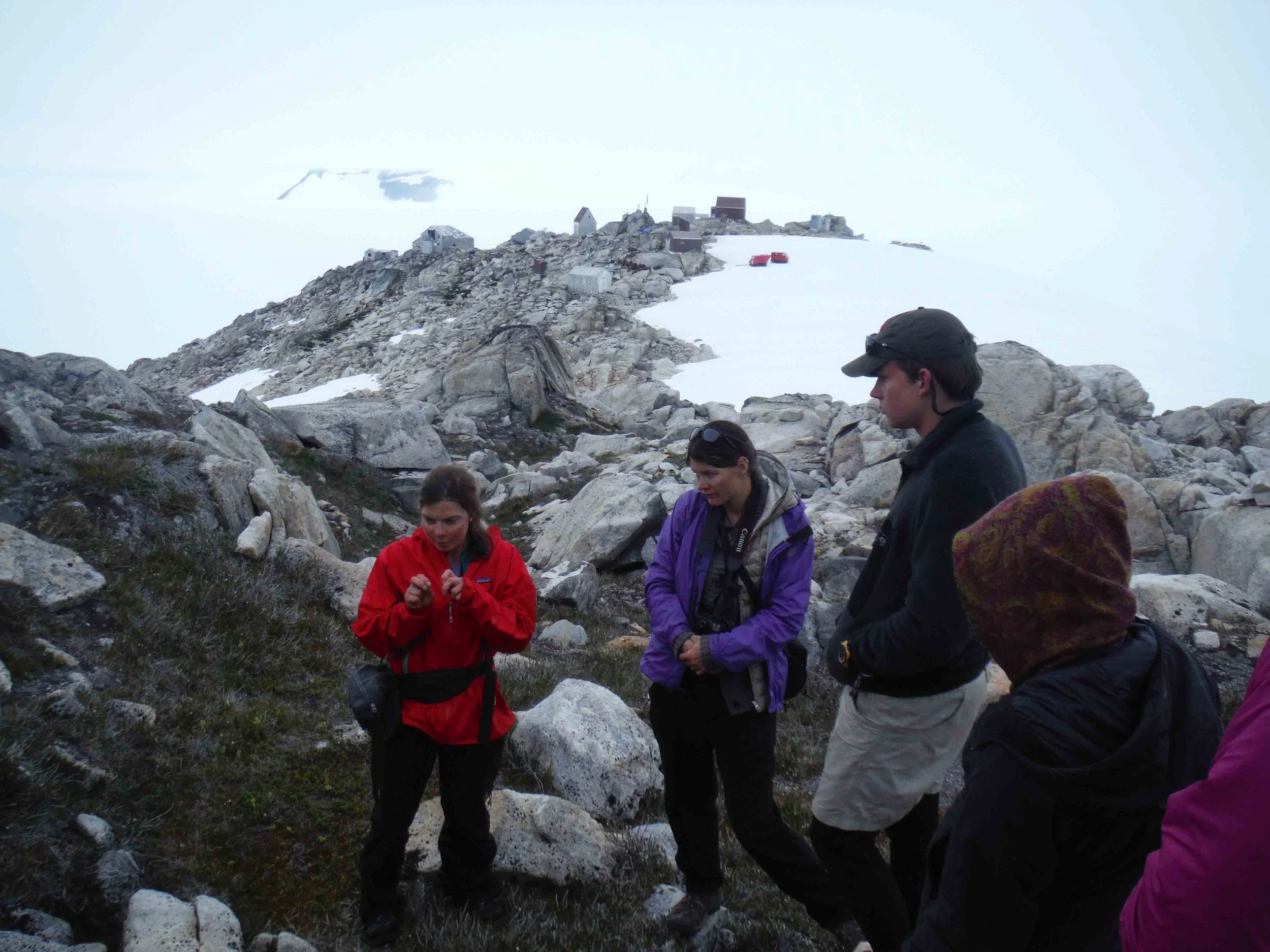 Dr. Polly Bass talking with JIRP students, Mira Dutschke, William Jenkins amongst others, about glandular tipped hairs of Phyllodoce aleuctica, ssp. glanduliflora (Yellow Mountain Heather) on the "Taku B" nunatak above Camp 10. Photo by Sarah Bouckoms
