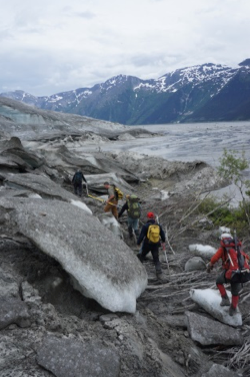  Walking on the edge of the glacier overriding alder trees