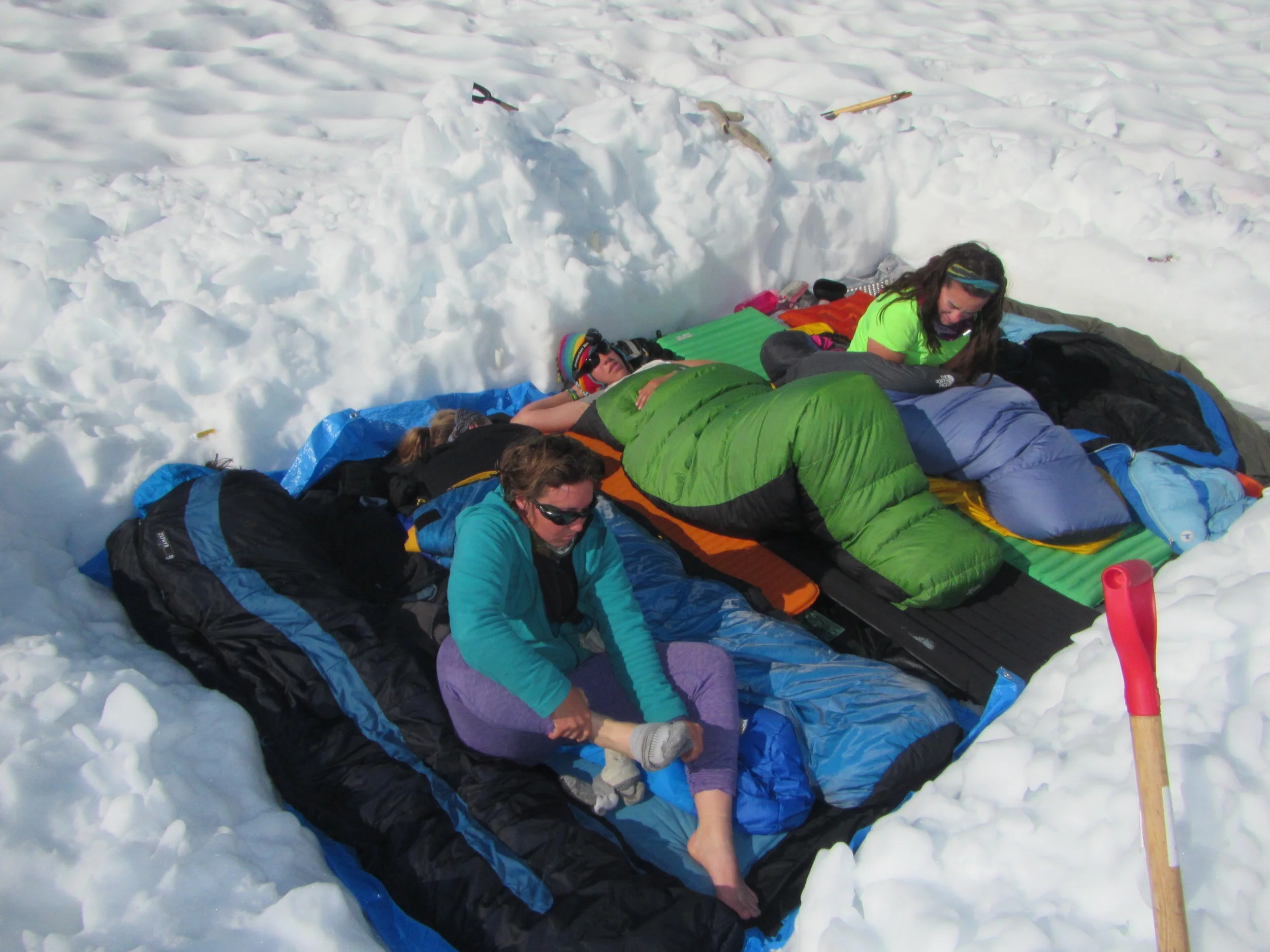 Hannah, Danielle, Carmen, and Laurissa wake up in the snuggle pit after a good night's sleep. photo by Gillian Rooker
