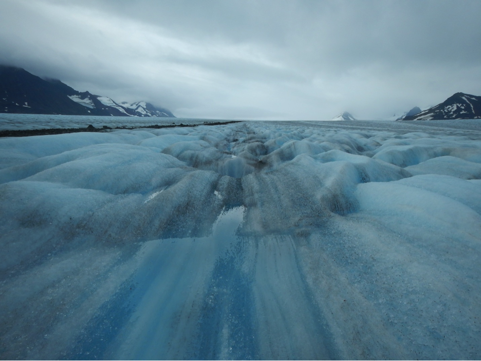 “ The Great Blue Landscape of my Wildest Dreams ” (Photo by: Elizabeth “ Lizzie ” Kenny)