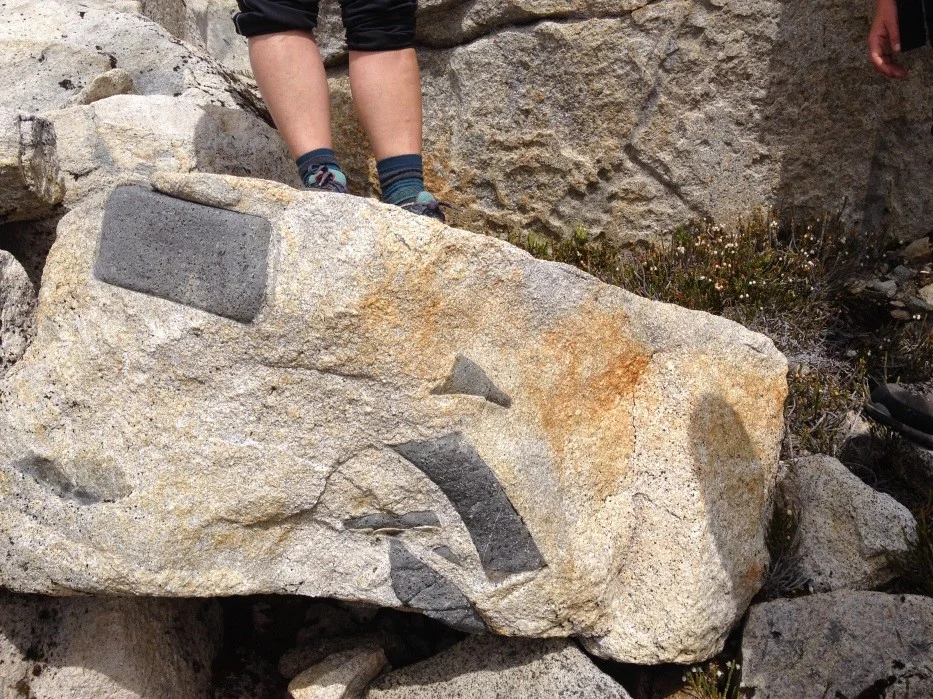 Mafic inclusions in a felsic melt (photo: Mickey MacKie)