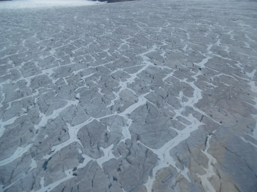 Crevasses on the Taku Glacier. Photo: Isabel Suhr