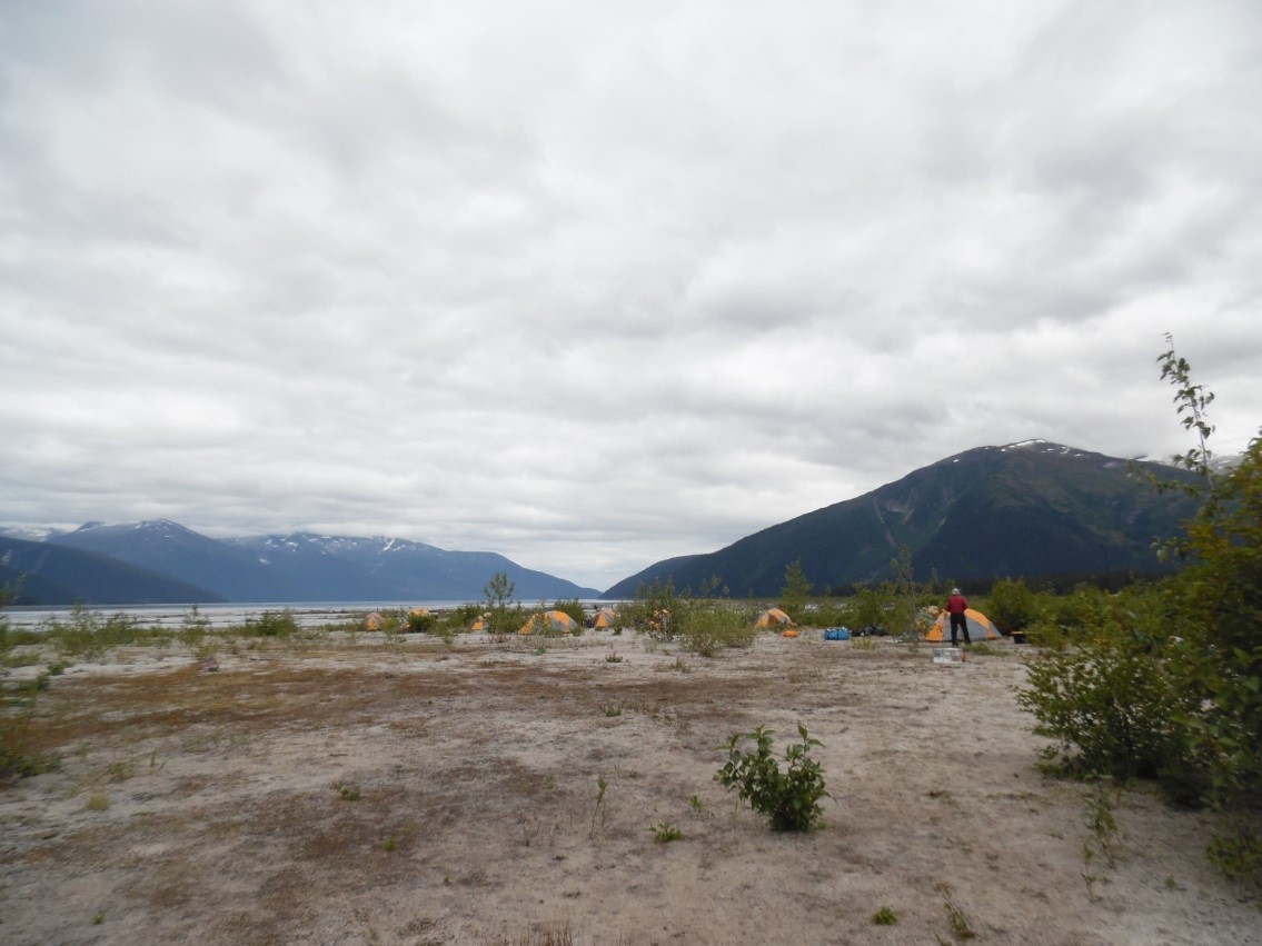 Camp at the Taku terminus. Photo: Mickey MacKie