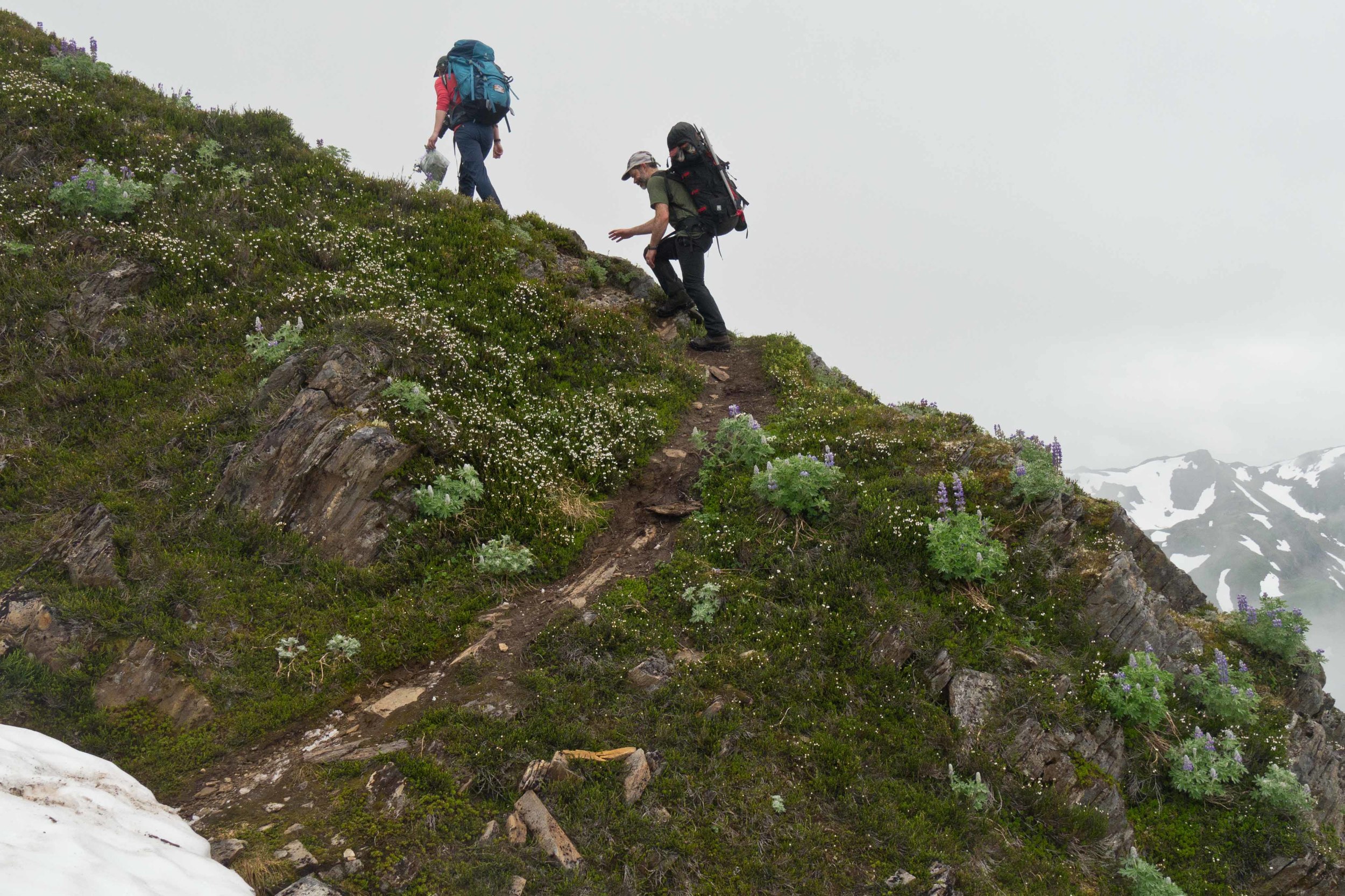 Drs. Catharine White and Jeremy Littell hike back to Camp 17 along Blackerby Ridge during the 'Blackerby Ridge Botany Bonanza'. Photo courtesy of Matt Beedle.