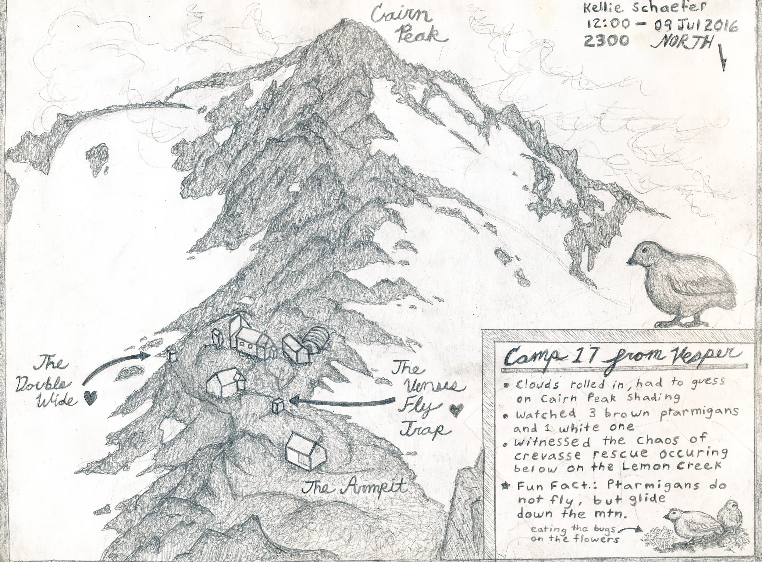 2016-field-sketch_0001.jpg
