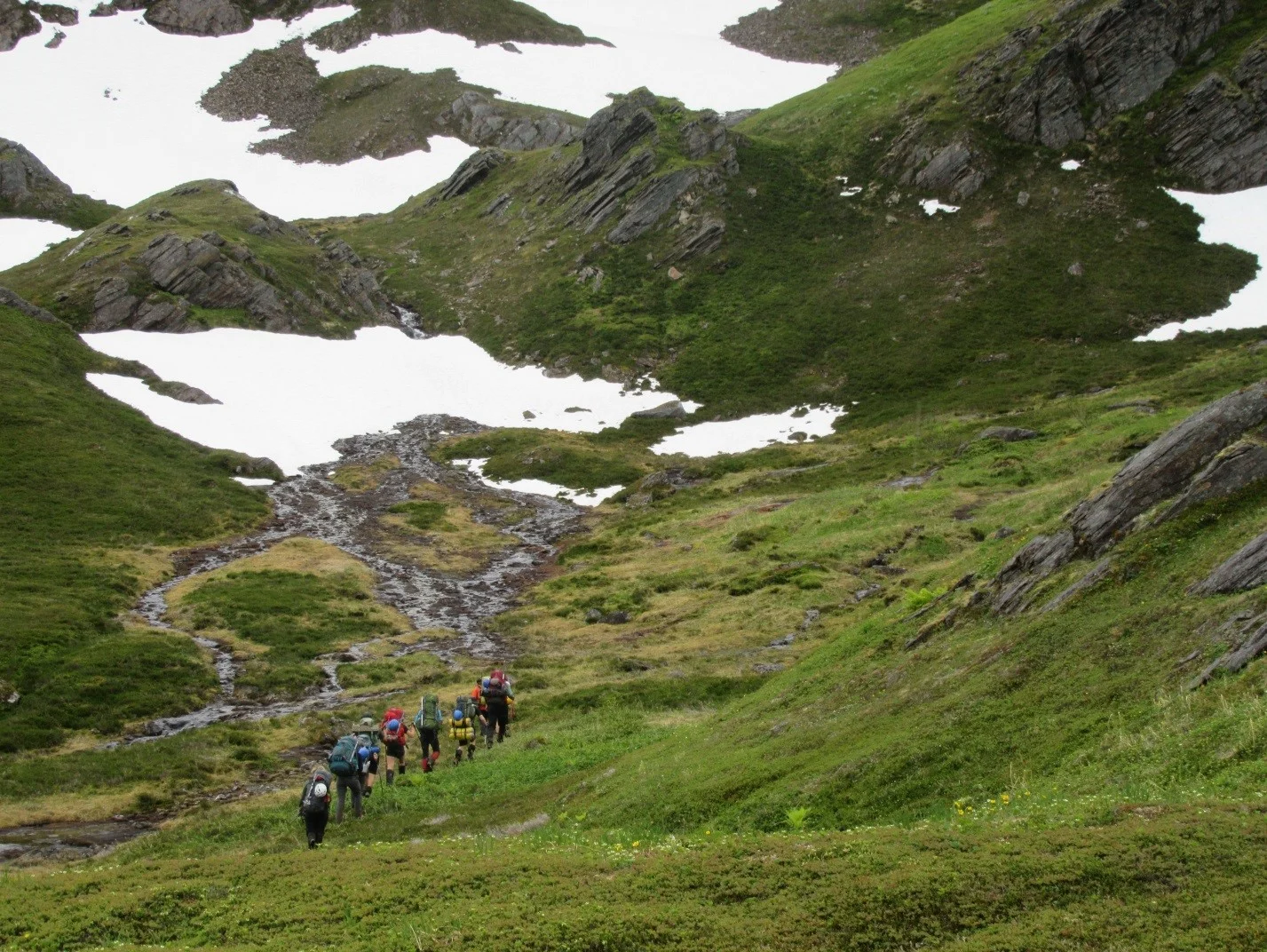 The group successfully past the bear. Photo: Gavin McNamara.