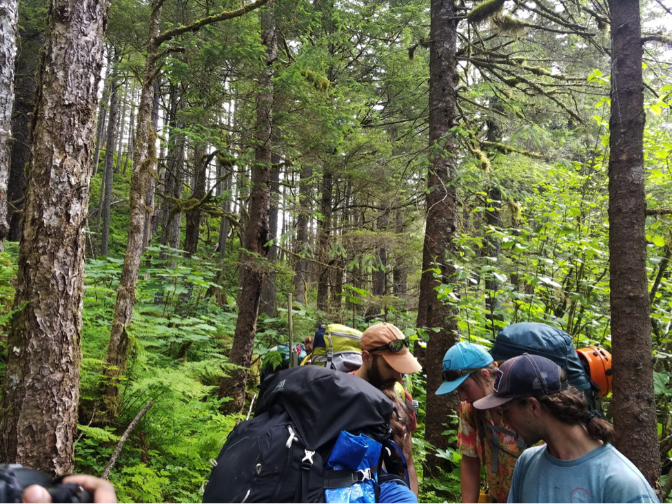 Faculty Andrew Morries, and staffers Andrew Hollyday and Kate Bartell, observe the vegetation in the "vertical swamp" of the Lemon Creek Trail. Photo Credit: Annie Chen.