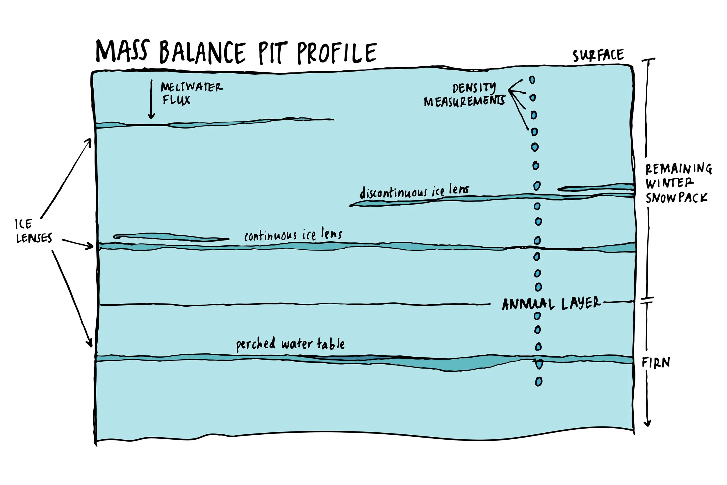 Illustration of the sampling wall of a mass balance snow pit on the Juneau Icefield. Image credit: Mia Vanderwilt.