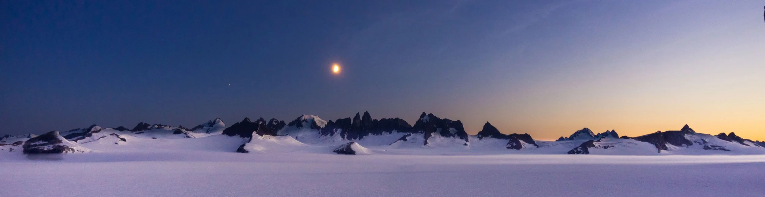 DSC02468 take2crop-crop2-BillyArmstrong.jpg