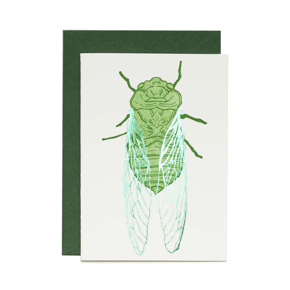 cicada.jpg