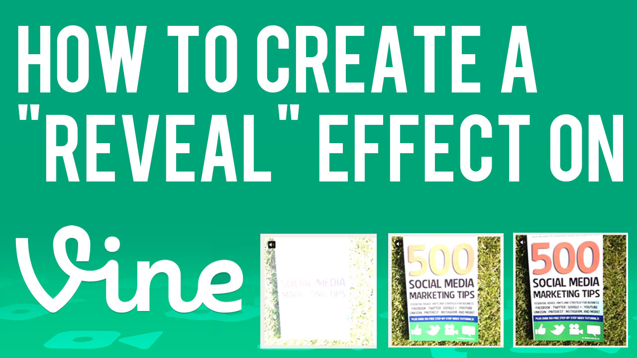how-to-create-a-reveal-effect-on-vine-tutorial-marketing-business.jpg