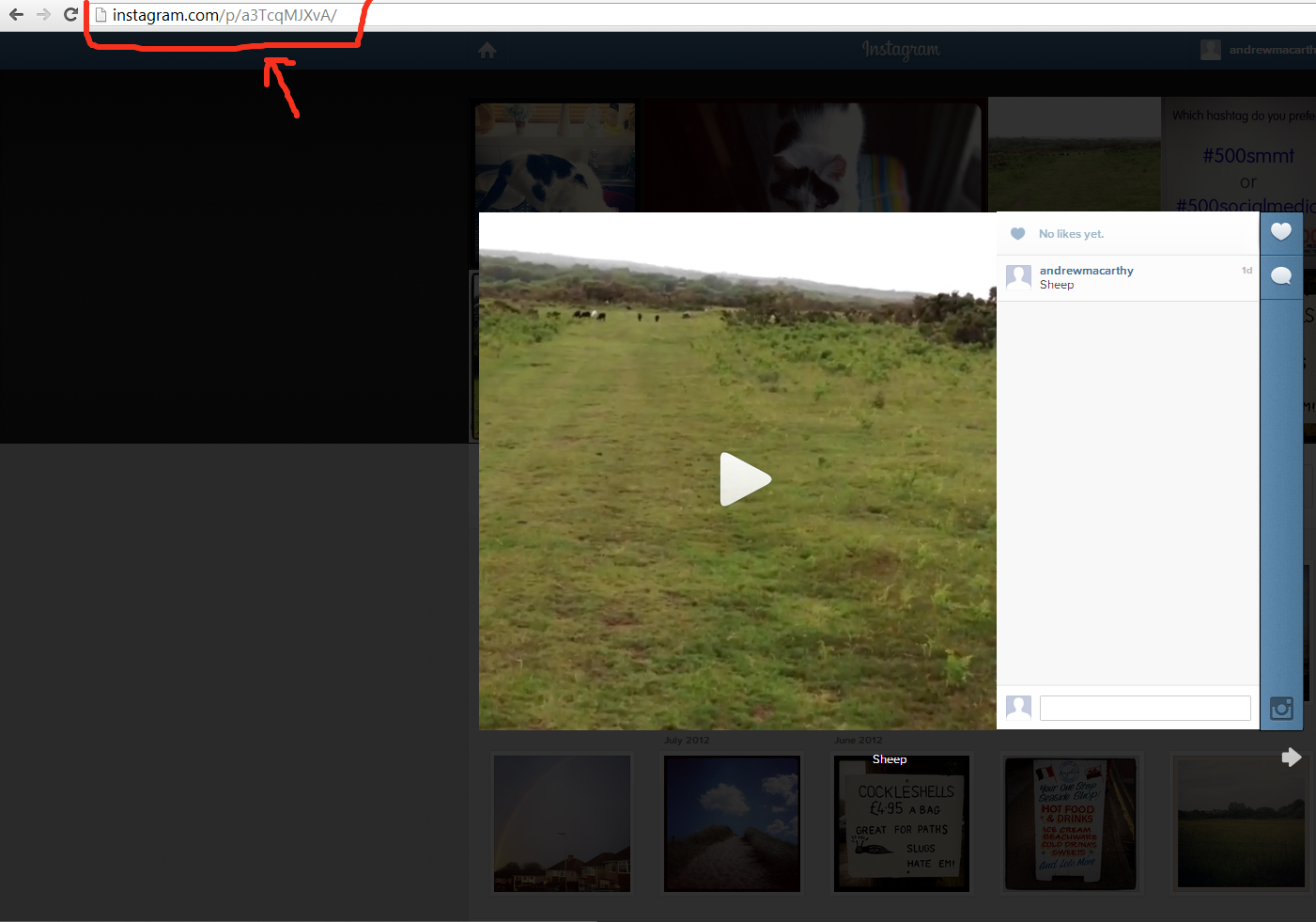 How to Embed An Instagram Video on Your Blog or Site in 3 Steps ...