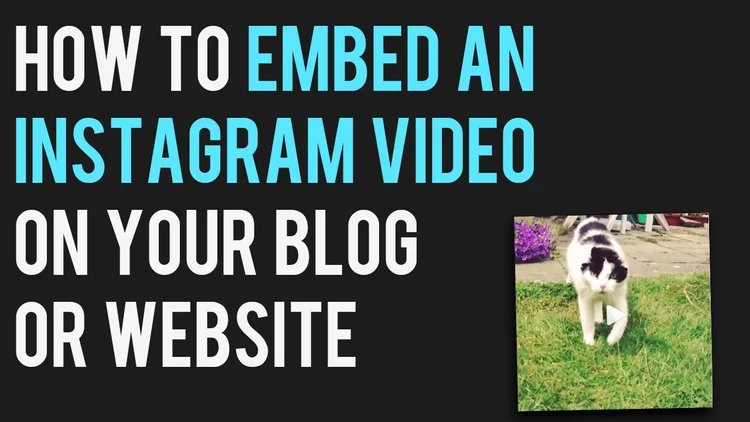 How to Embed An Instagram Video on Your Blog or Site in 3 Steps ...