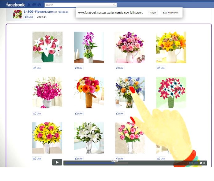 http://www.facebook-successstories.com/1-800-flowers/
