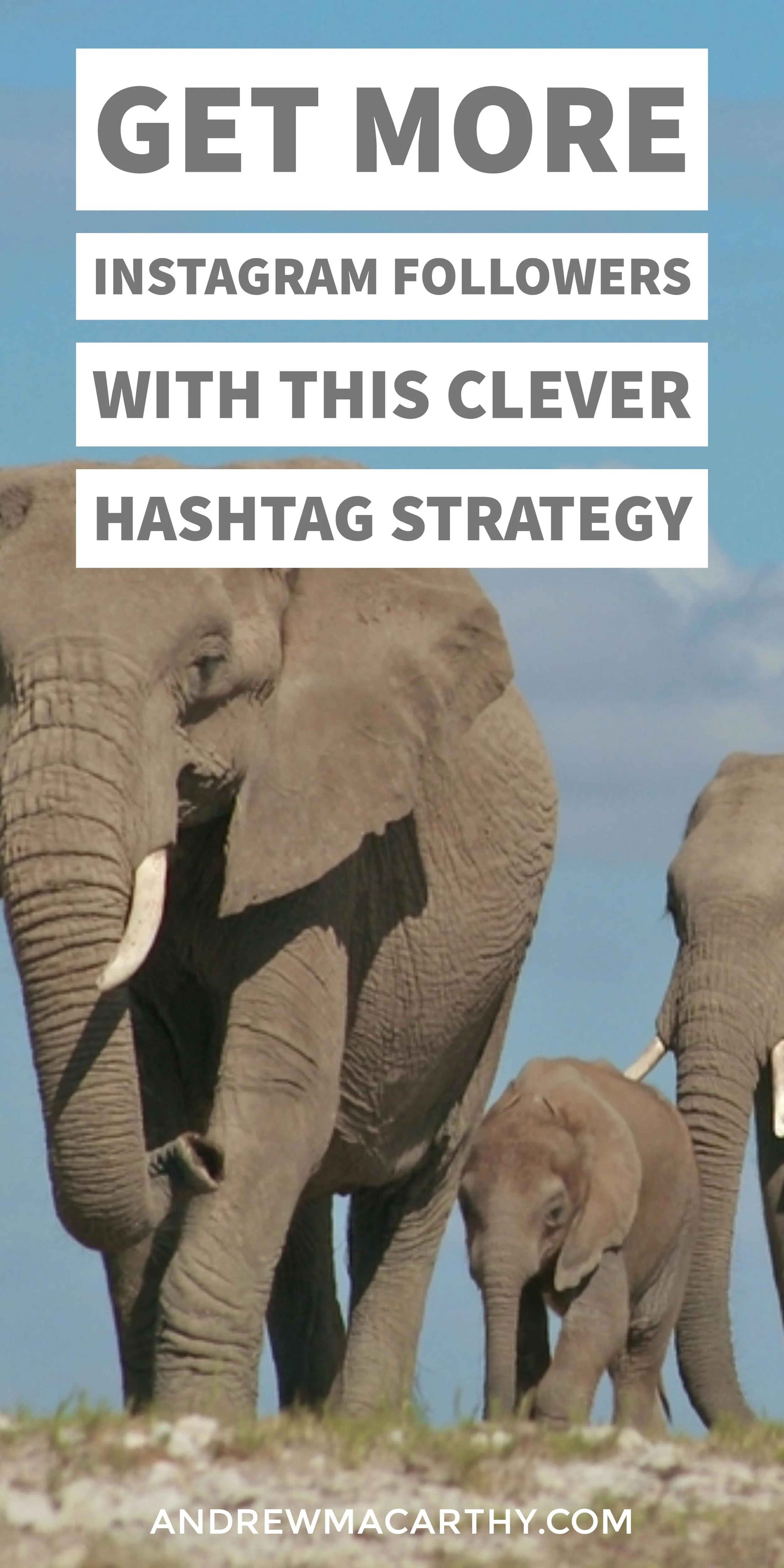 Get More Instagram Followers Today With This Clever Hashtag Strategy
