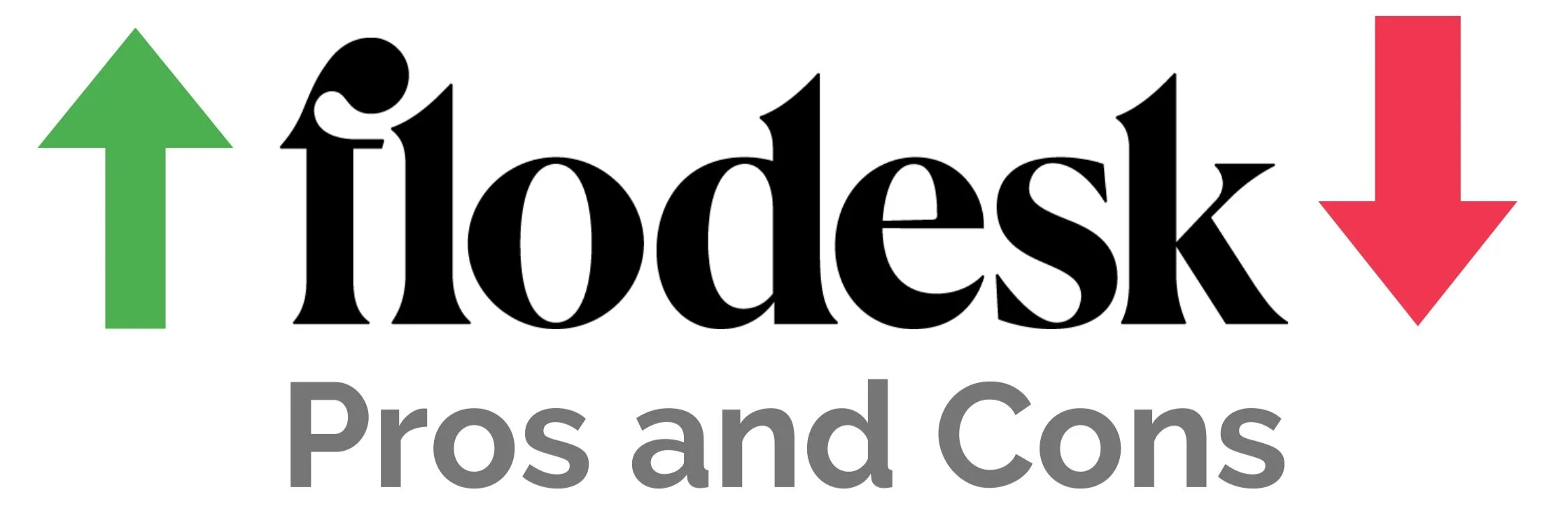 Flodesk pros and cons
