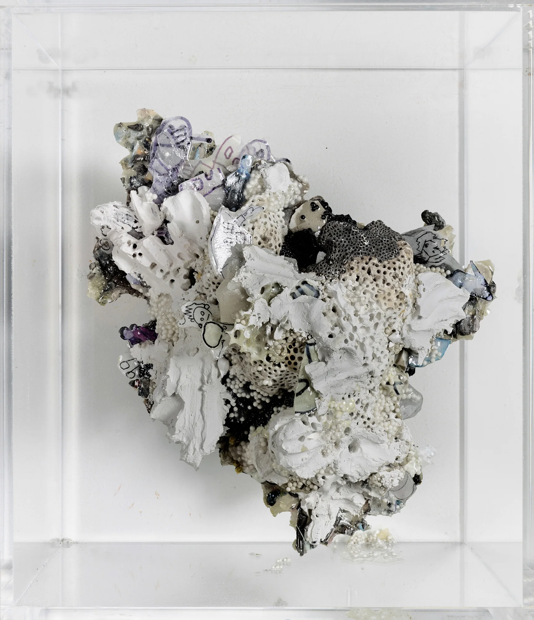 Individual #1. 2010 Mixed Media in Plexiglas Box (17.5x19.5x13.5")
