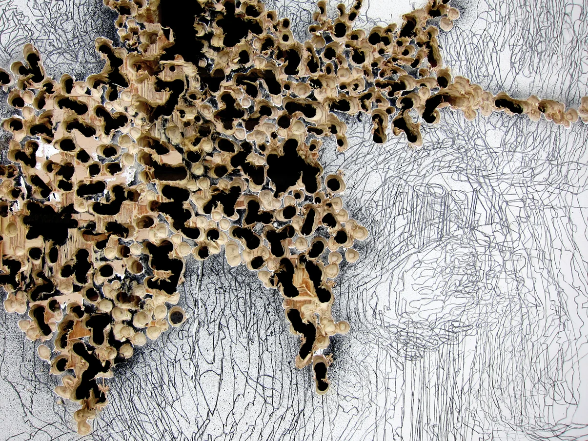 "...And Greasy Luck to Whalers #1" 2014 Traditional Gesso, Transferred Graphite and destruction on Wood Panel (30x40")