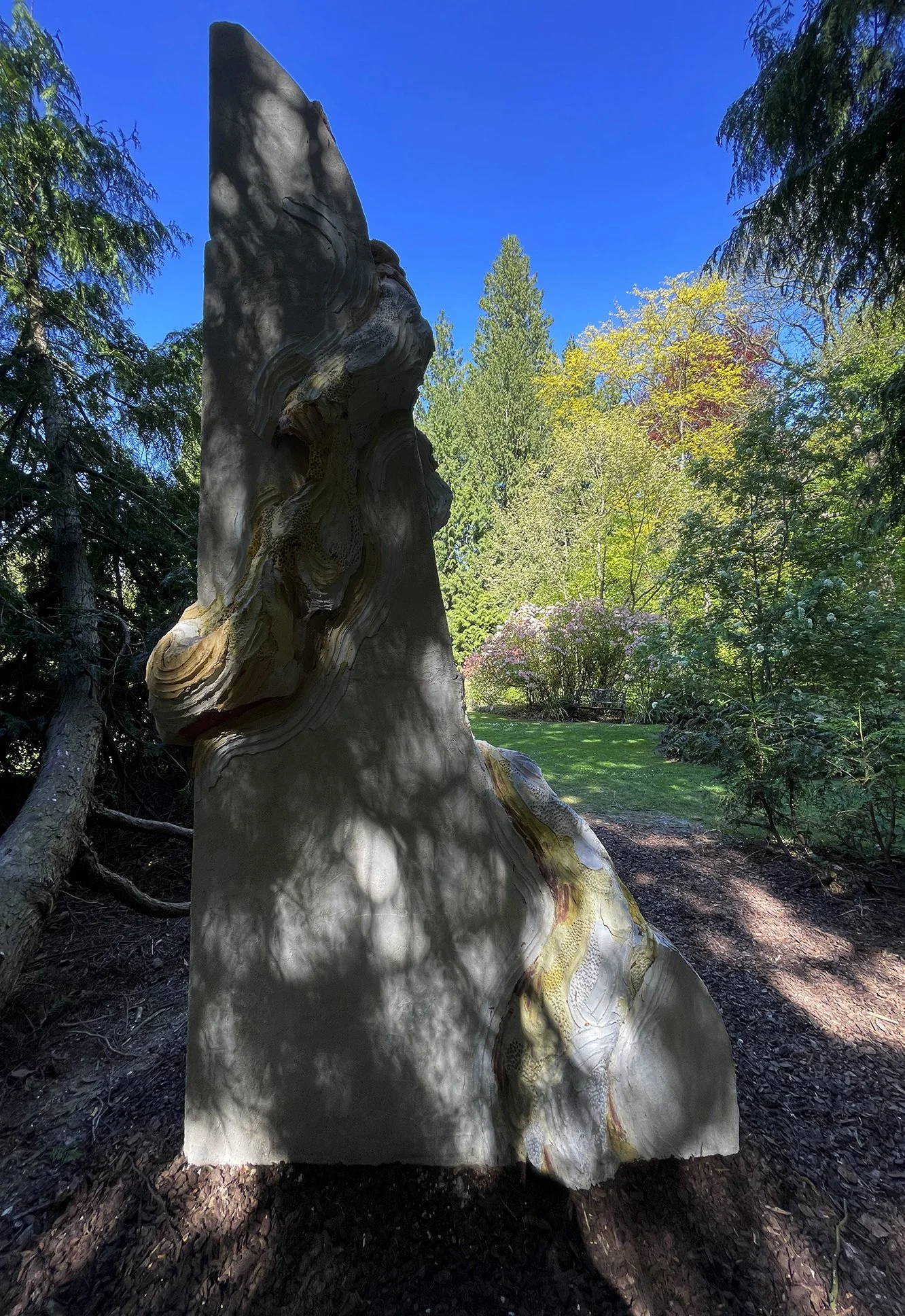 Large scale monumental scultpure made of concrete and colored mortar with extreme organic details depicting a monumental octopus wrapped arouind an architectural colummn  in a private sculpture park owned by a contemporary art collector and a museum