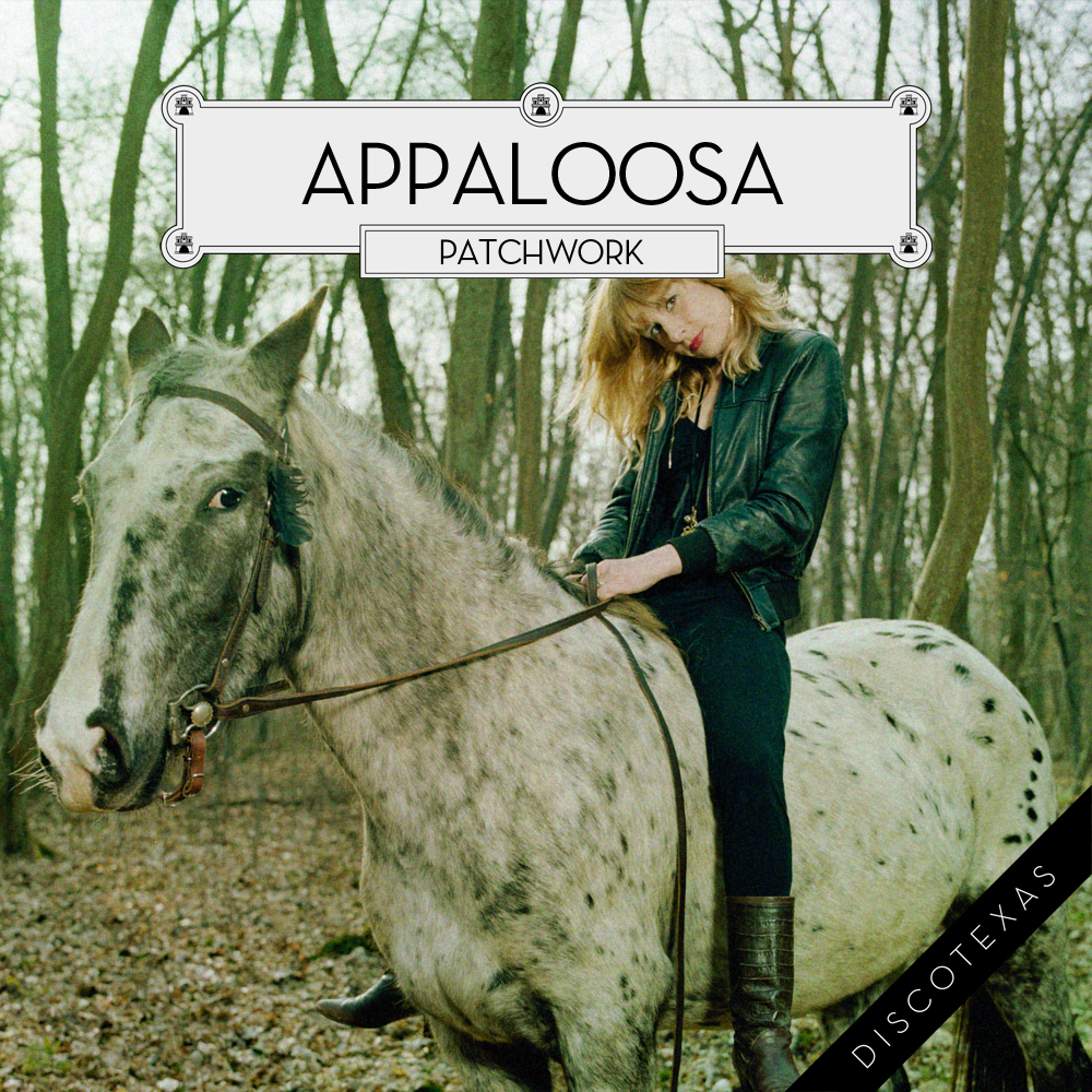 DT017: Appaloosa - Patchwork