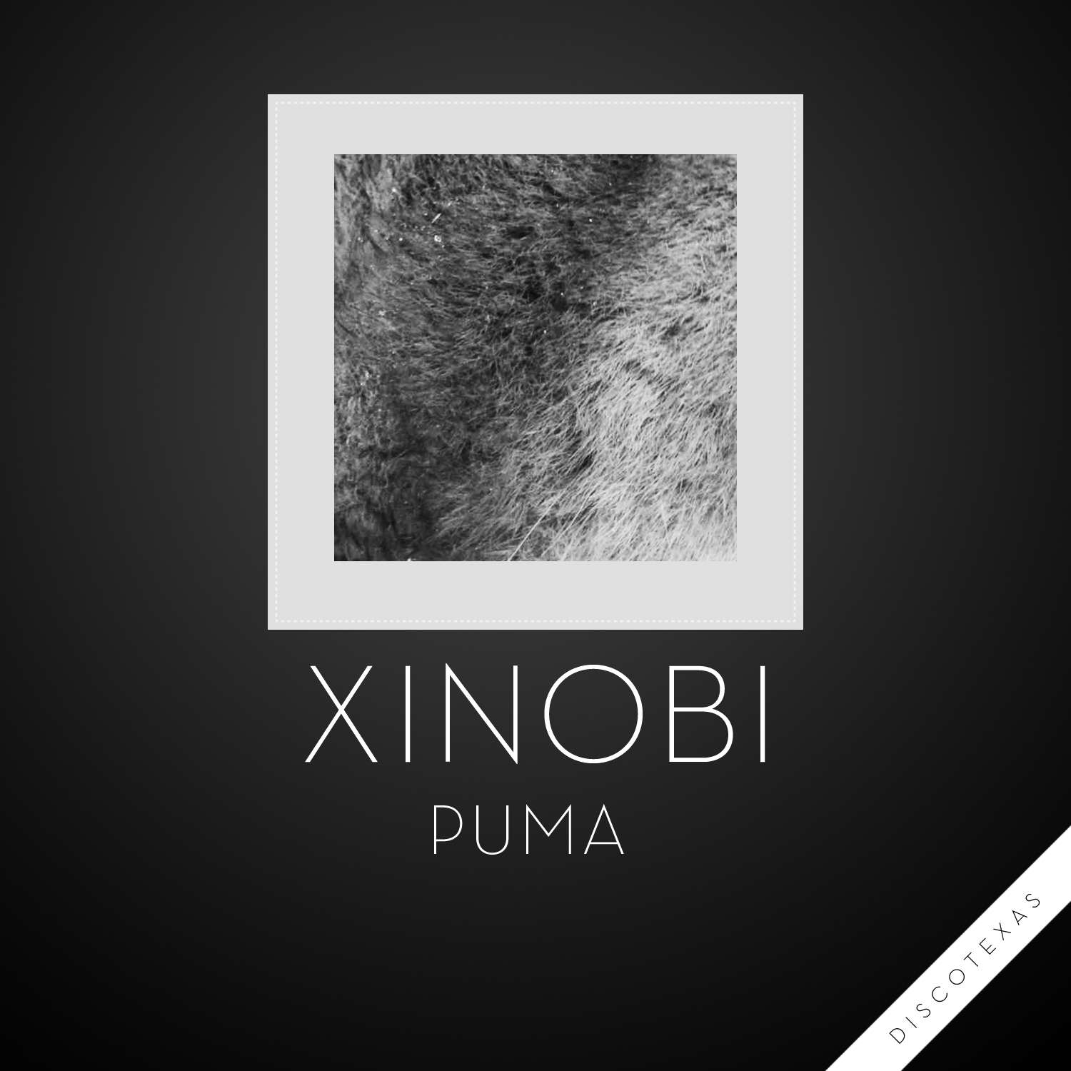 DT033: Xinobi - Puma
