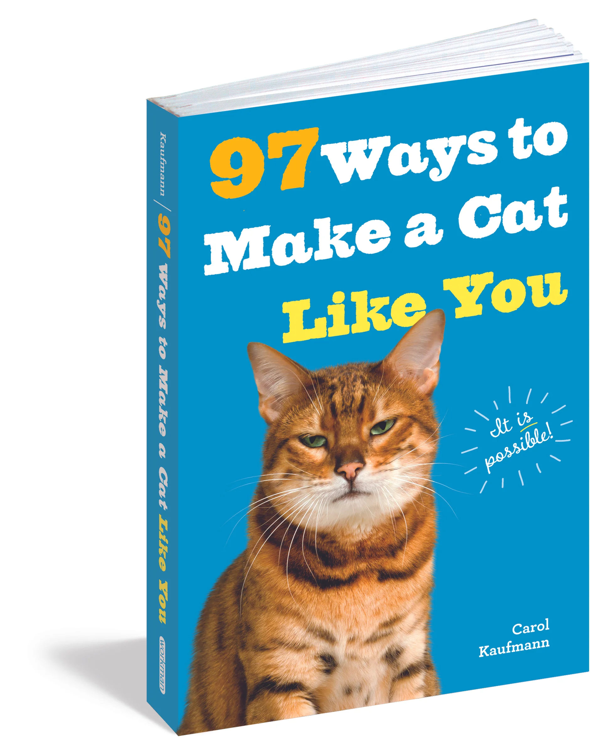 97 Ways To Make Cat Like You.jpg
