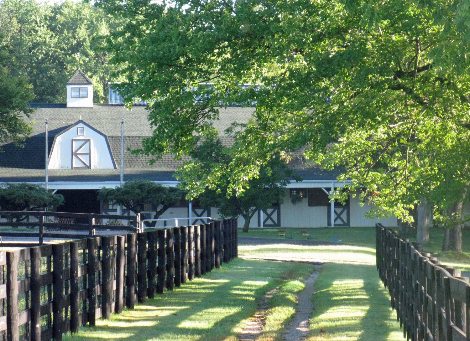 View of Barn from Fenced Lane