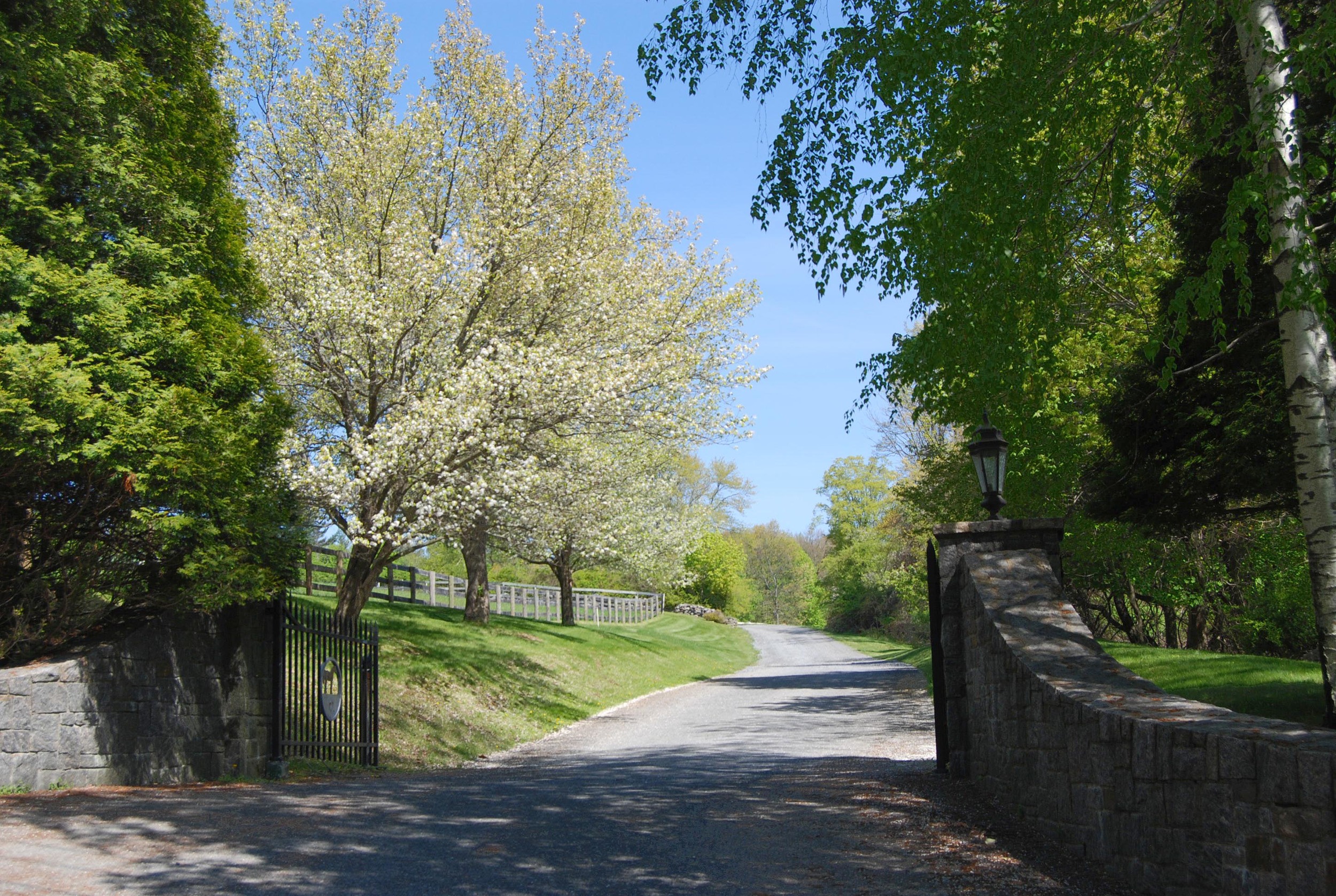 Welcoming Gates