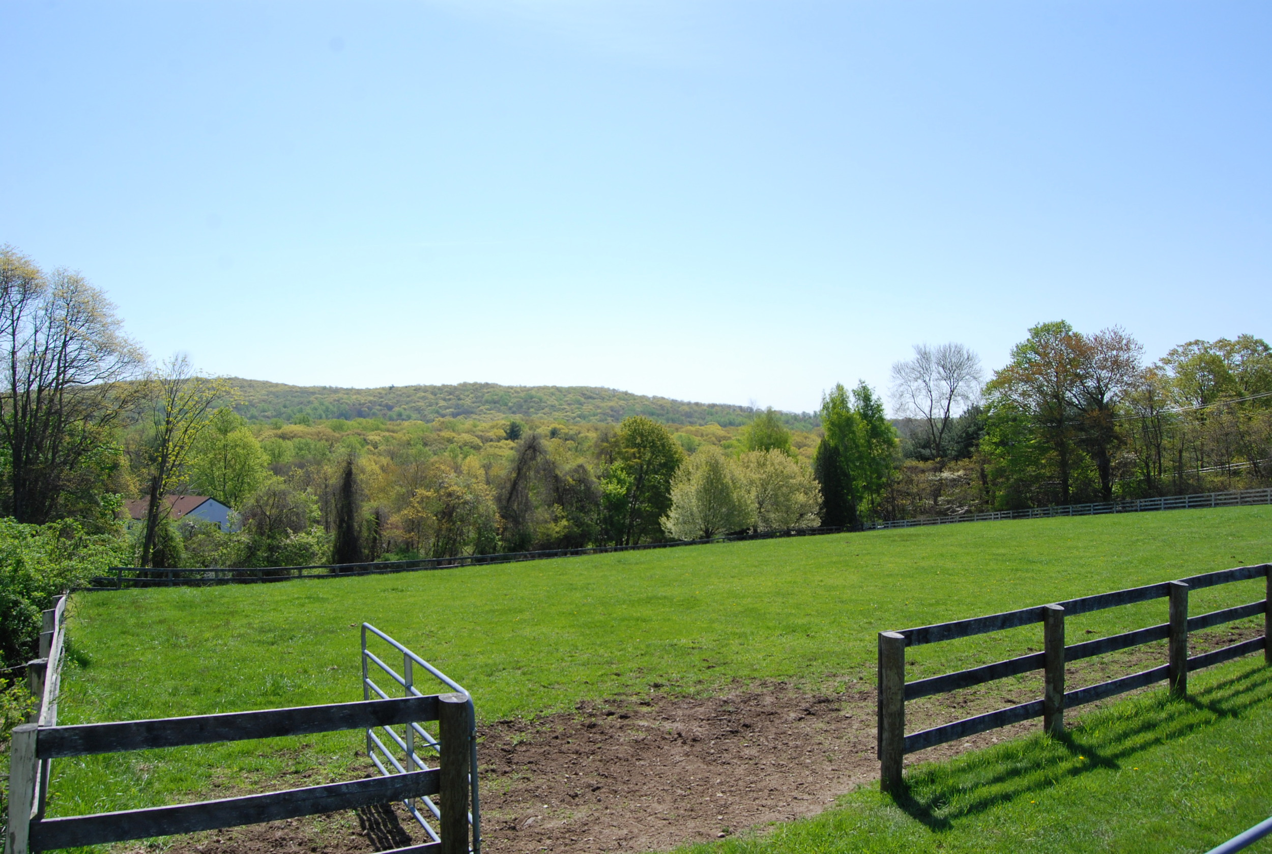 View across pasture toward Croton Reservoir