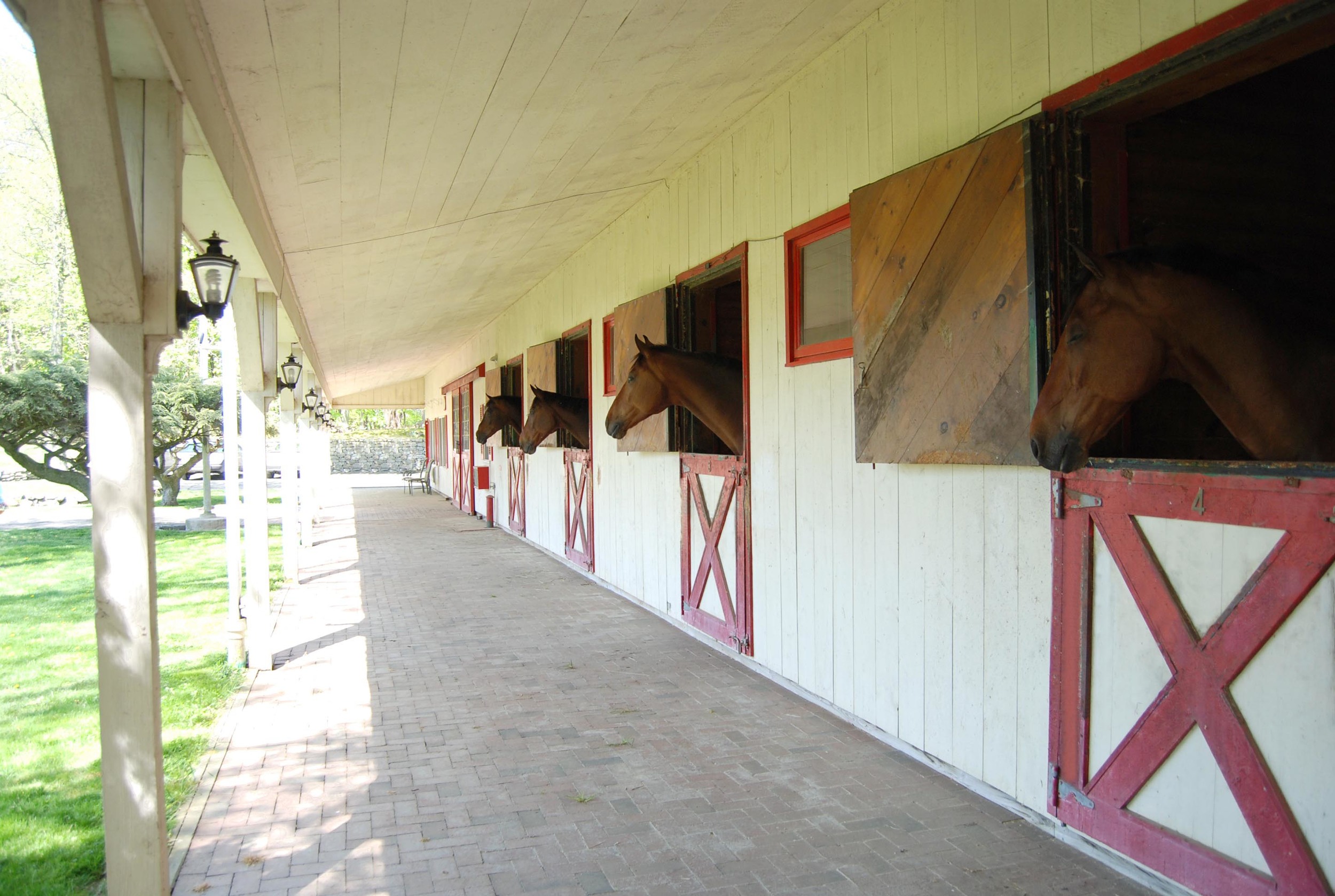 Horses looking over dutch doors 