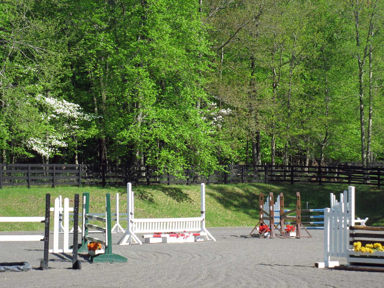 View of outdoor ring with course of jumps