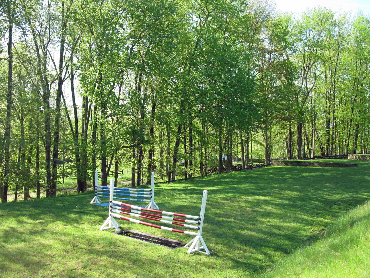 view of natural obstacle training jumps on grass