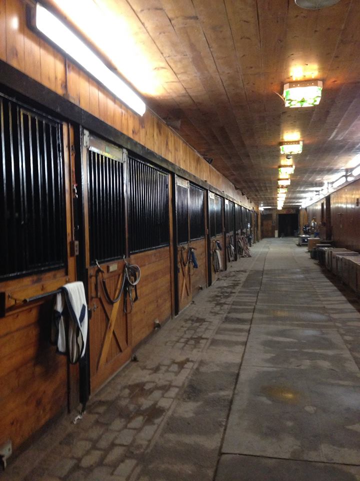 Stalls in Main barn Long Aisle