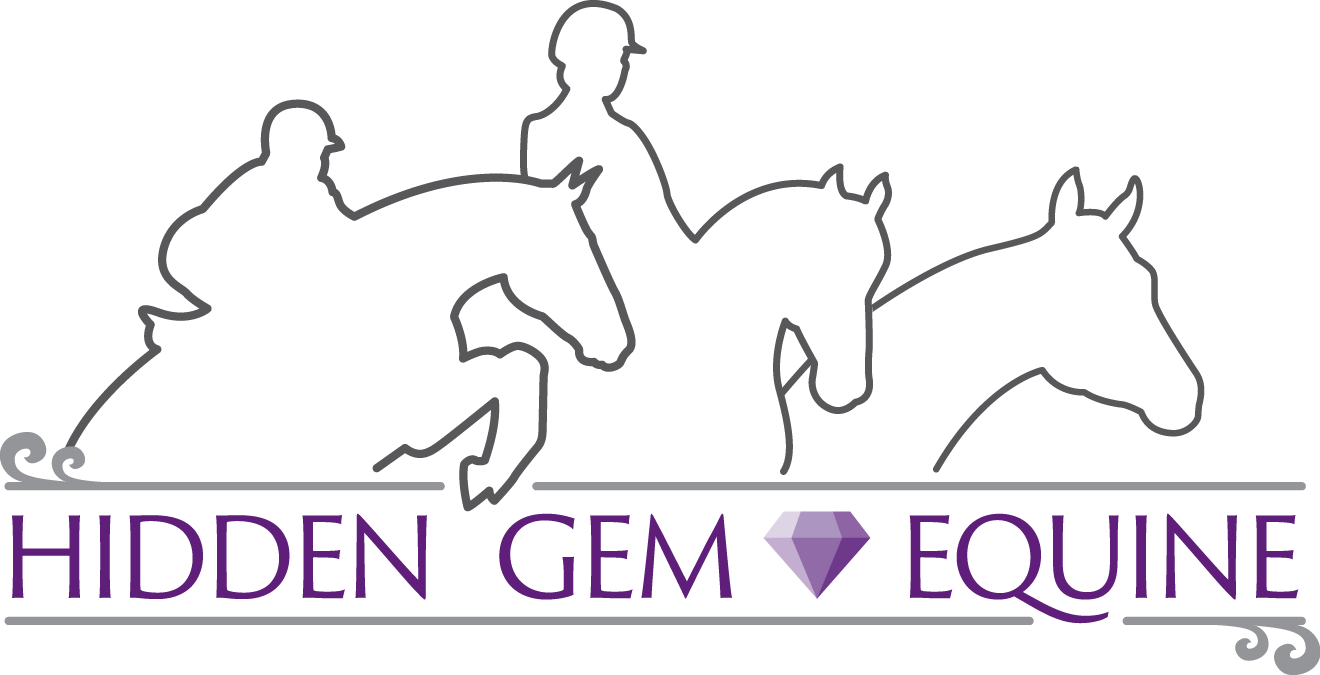 Hidden Gem equine