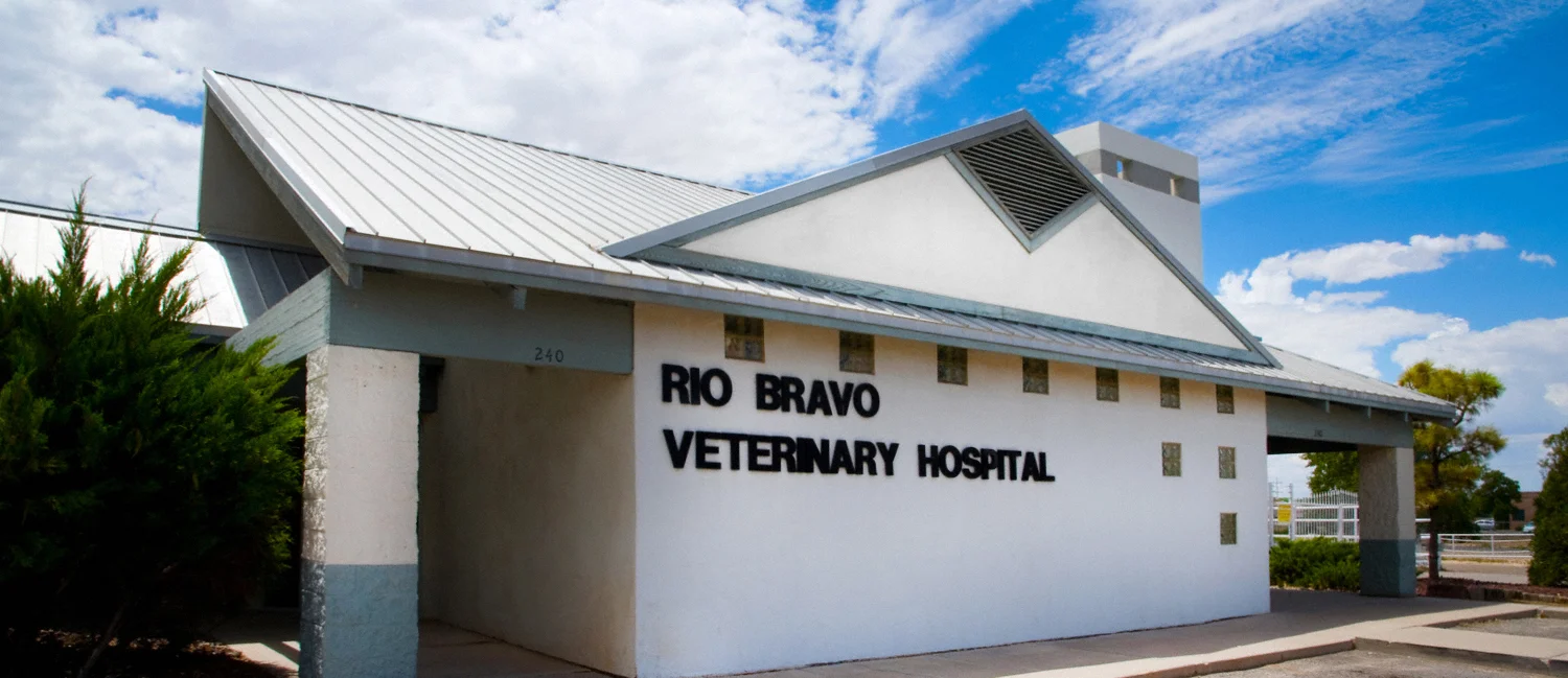 webRBVET_3429.jpg