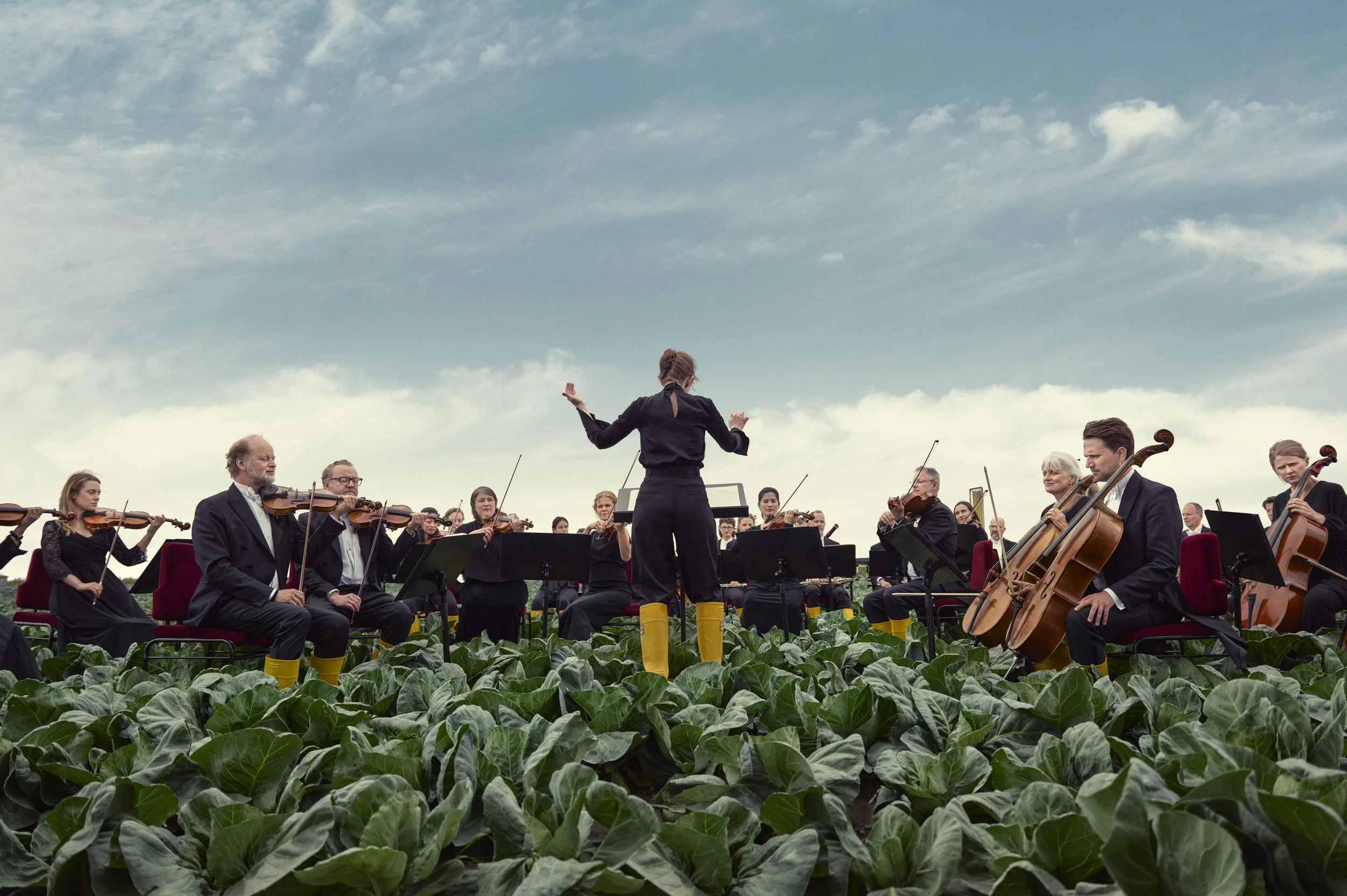 The Organic Orchestra