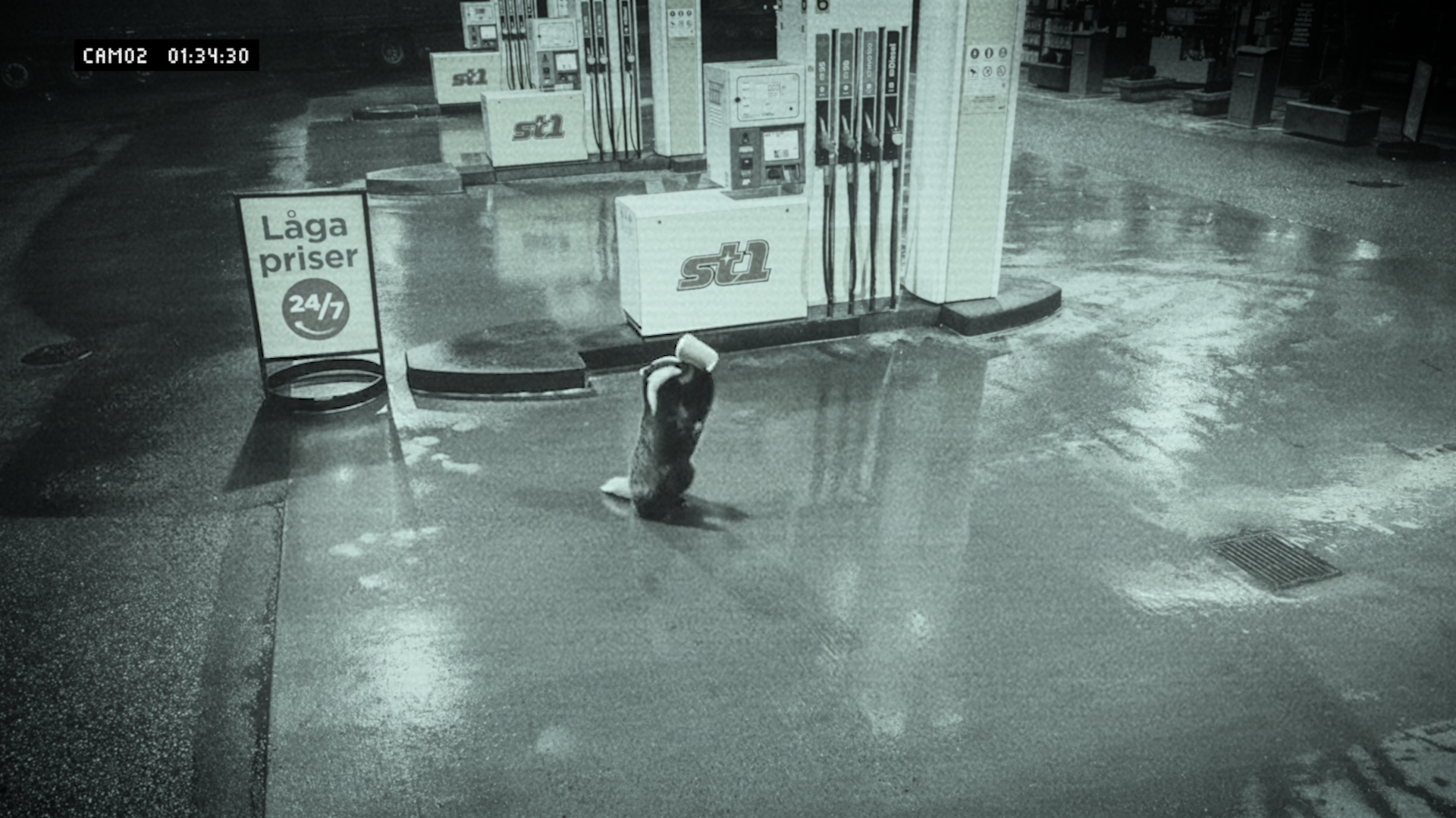 Badger stumbles into a St1