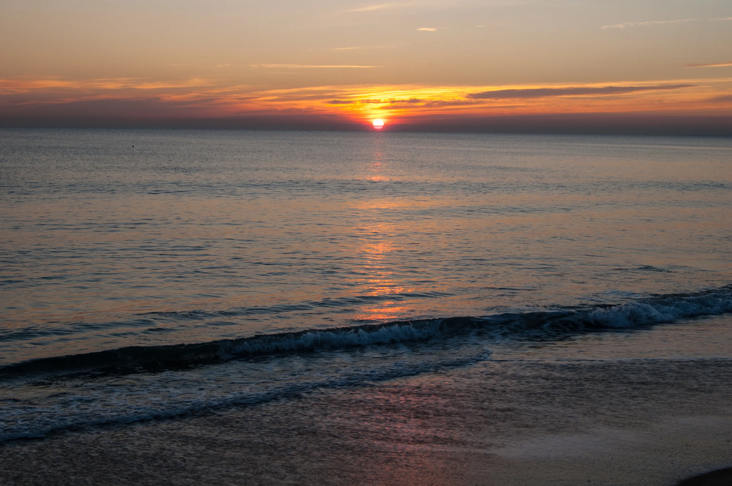 Nature (11 of 12).jpg