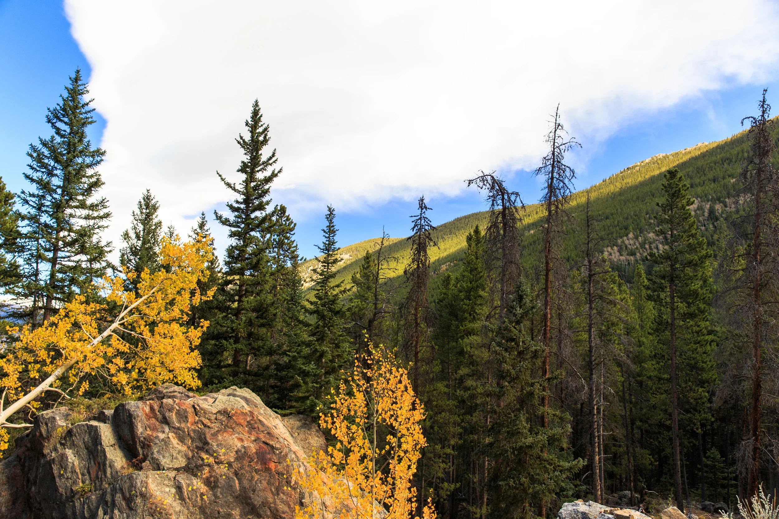 Colorado-0383.jpg