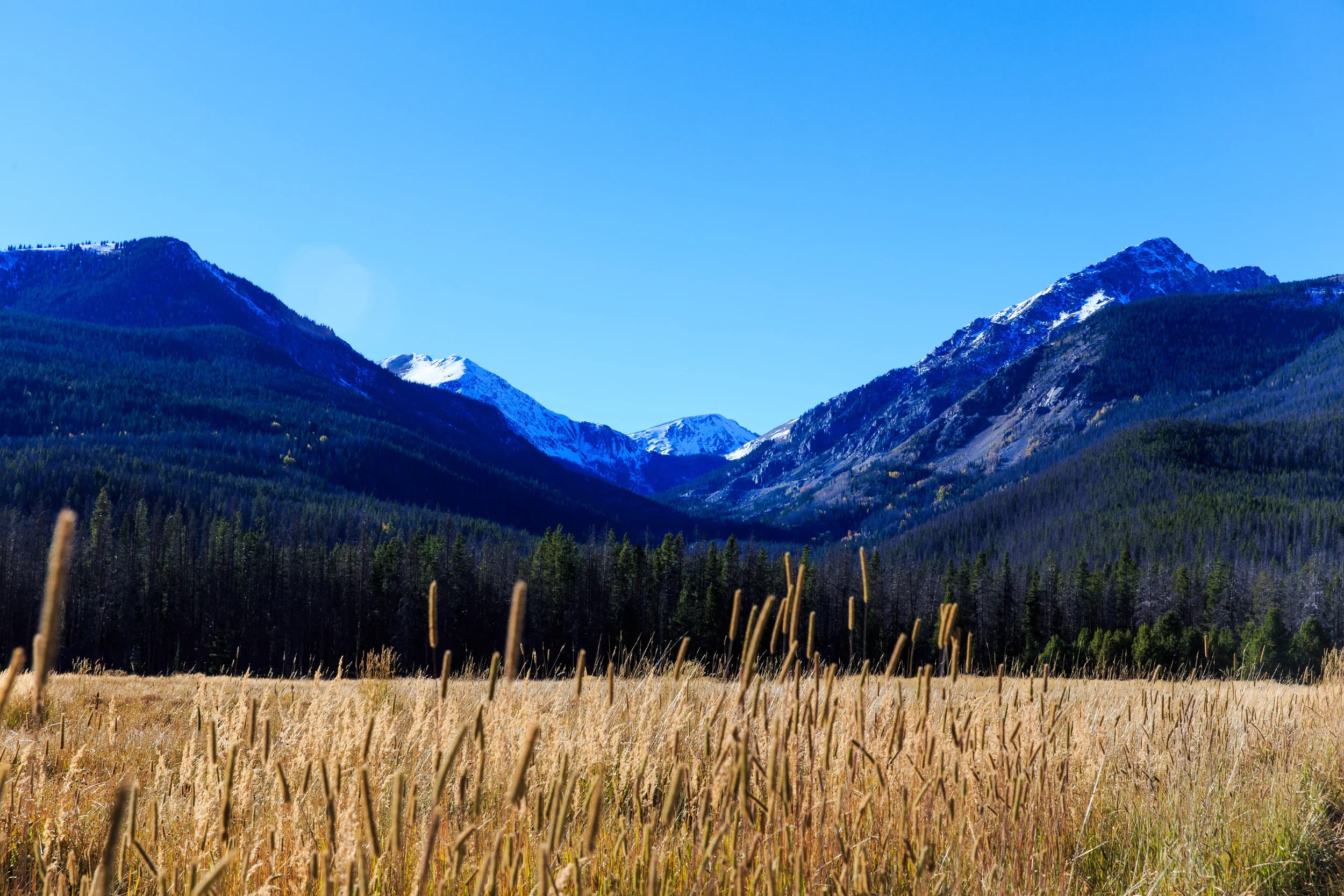 Colorado-0511.jpg