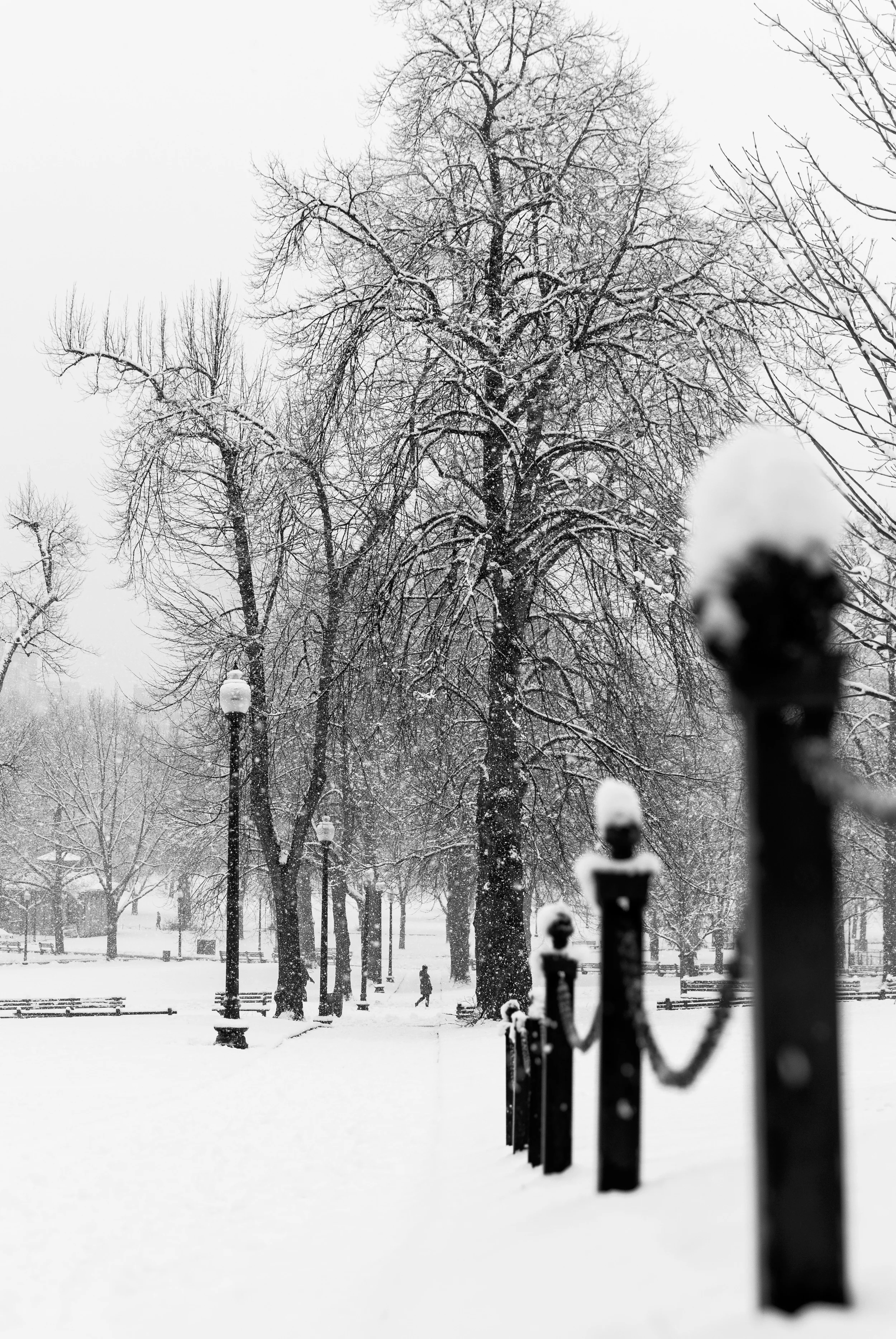 BostonSnow-1994.jpg