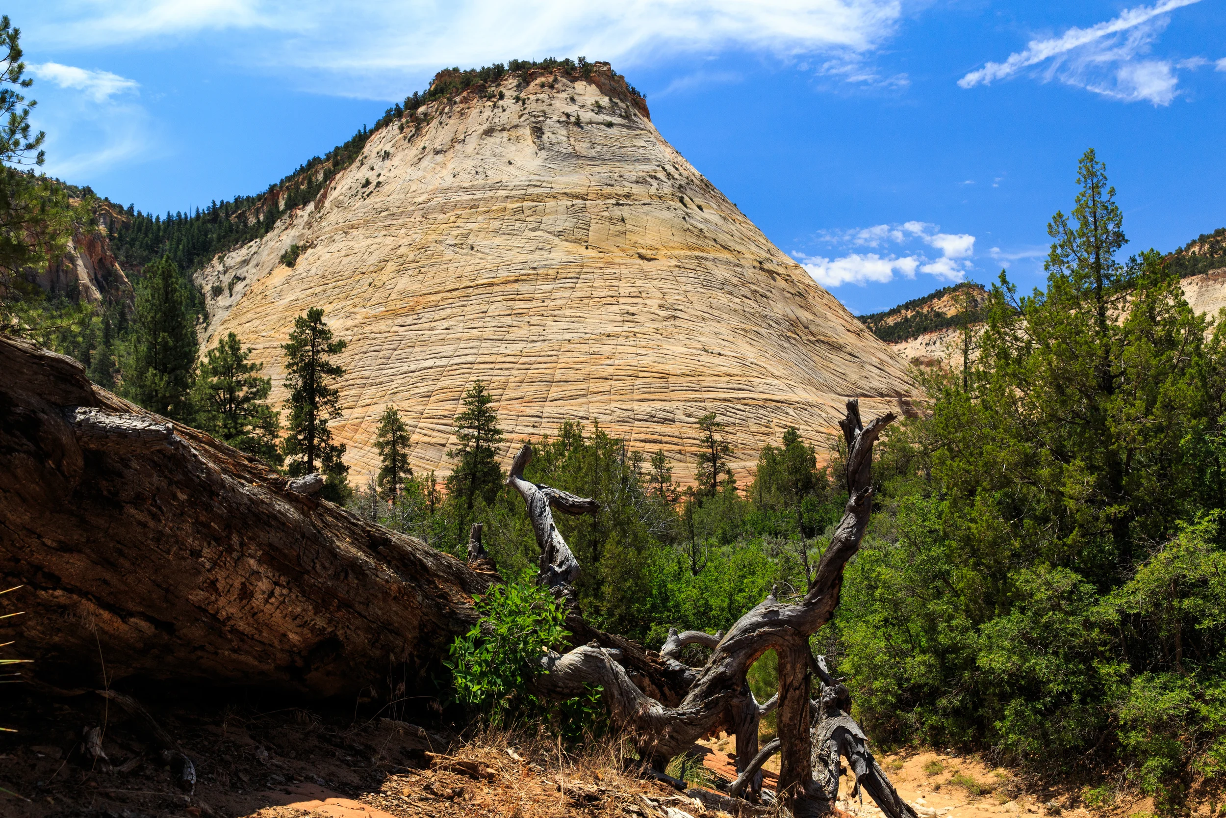 Utah-3100.jpg