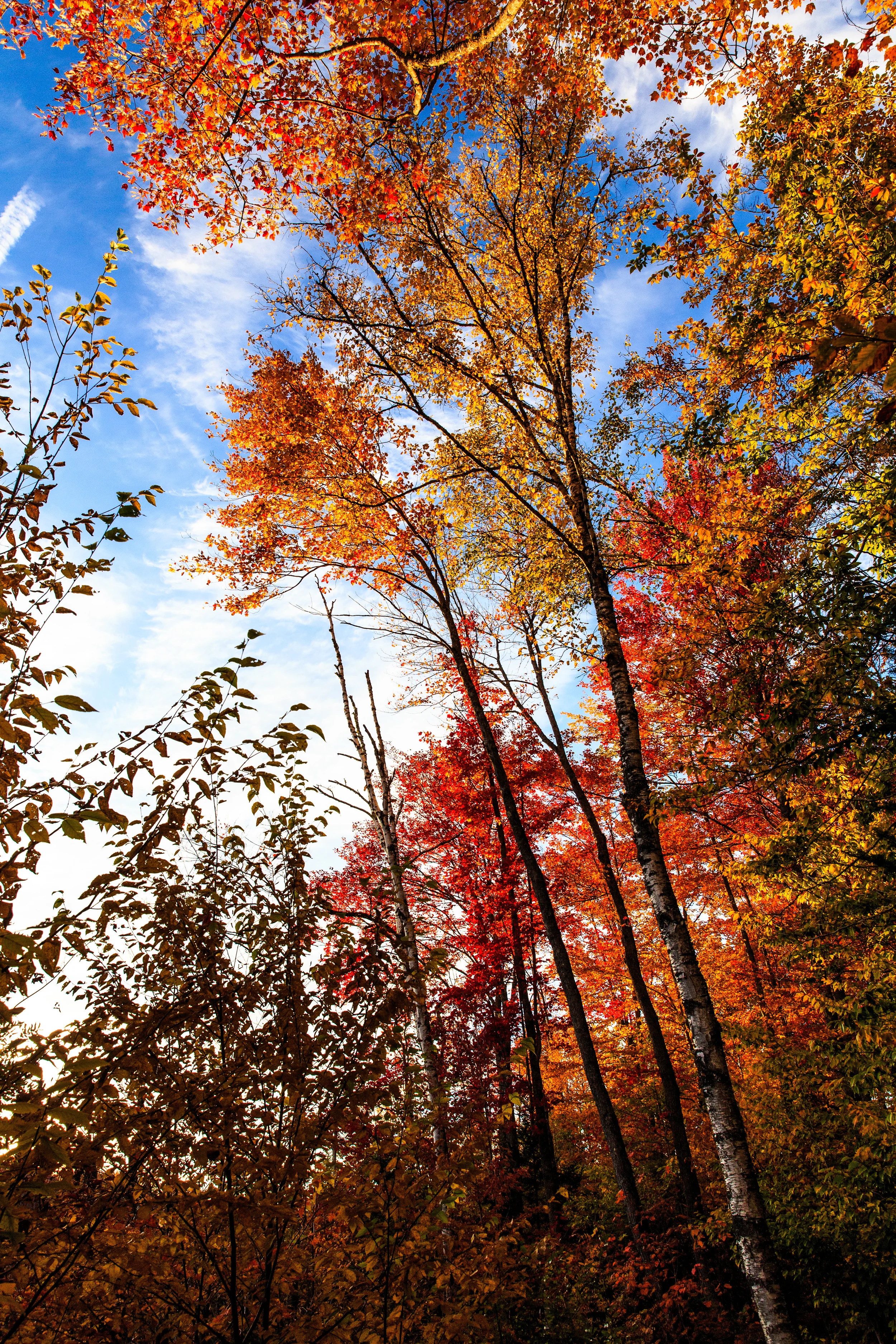 Vermont-3693.jpg