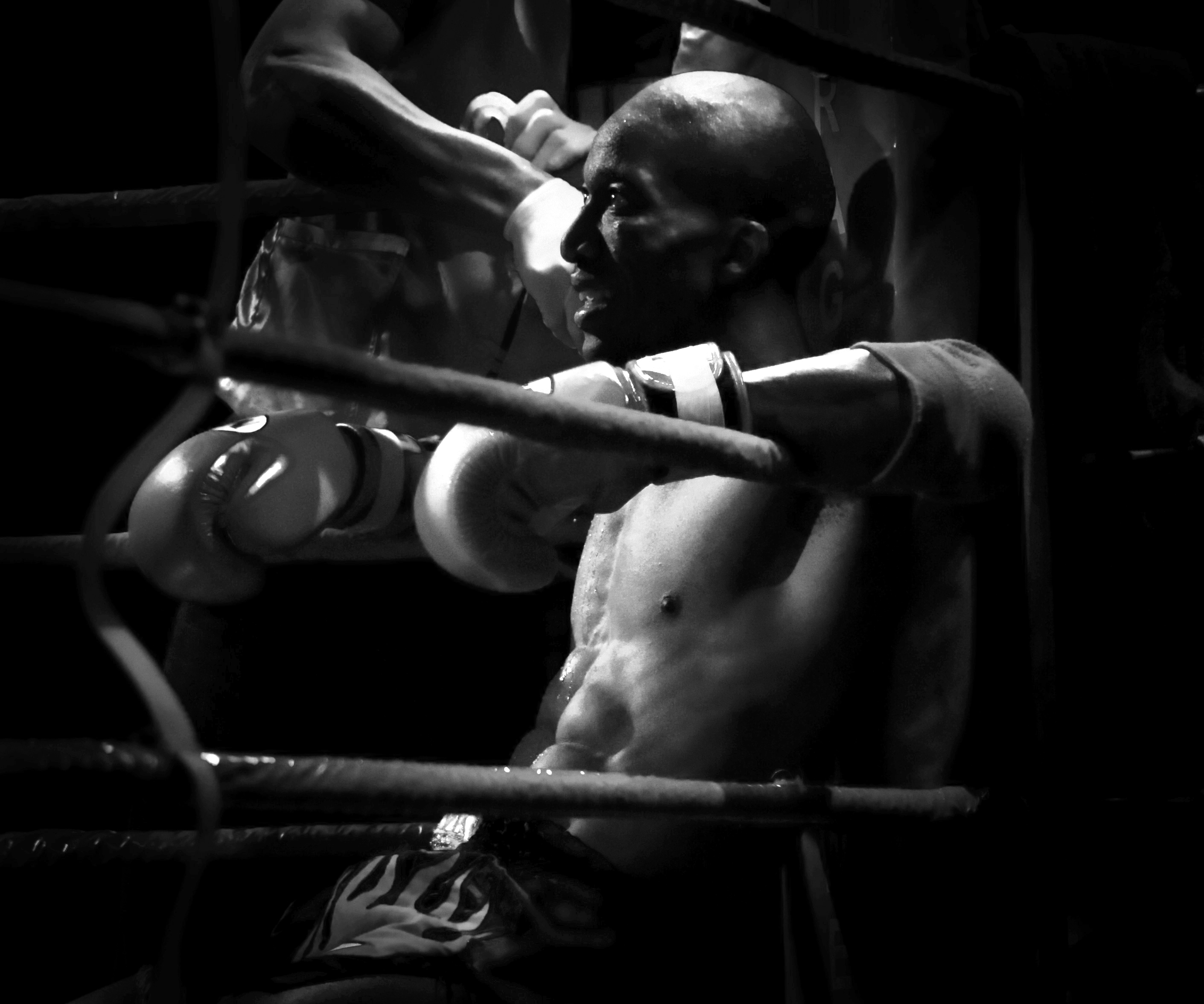 Muay Thai Fight Night II