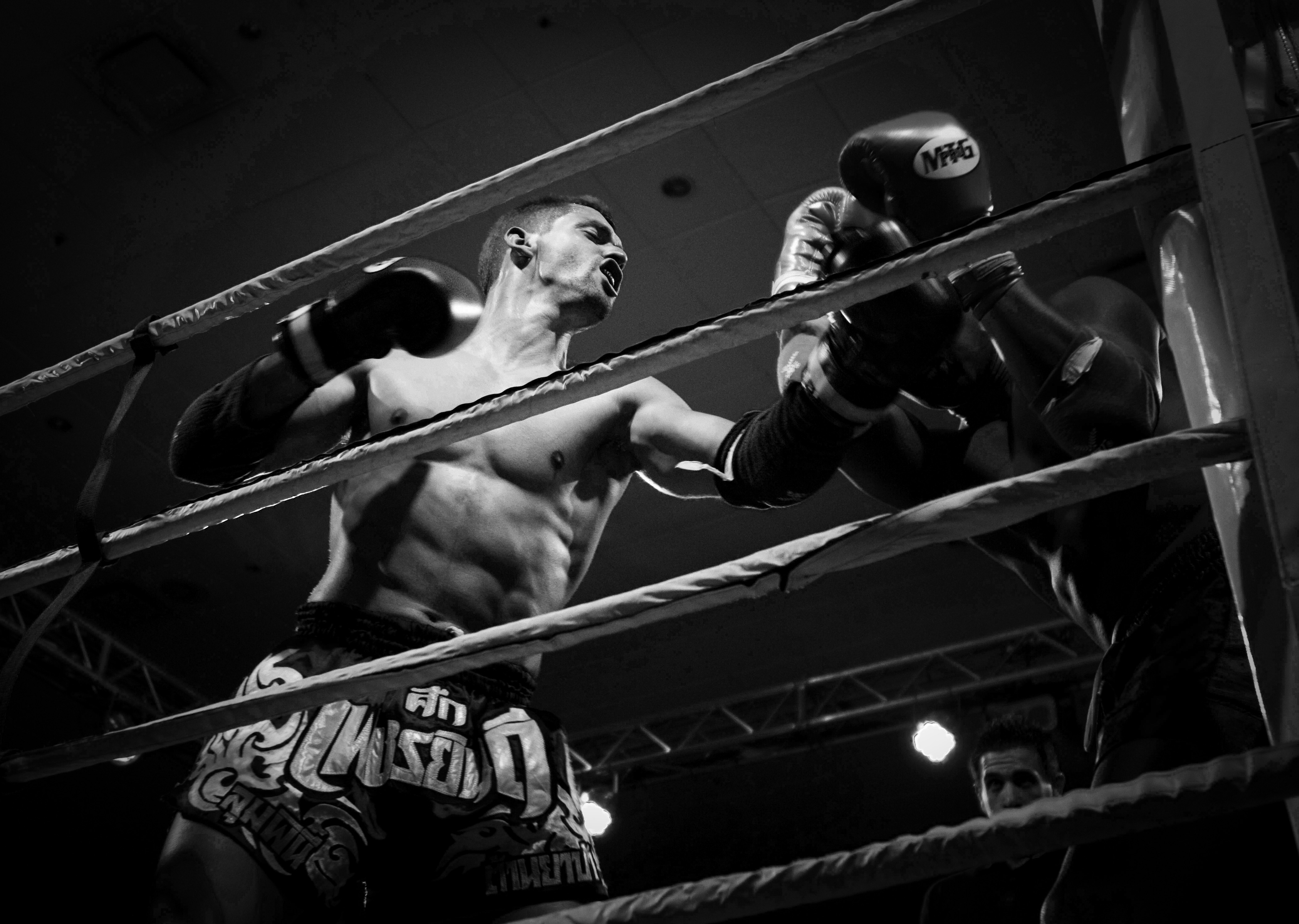 Muay Thai Fight Night II