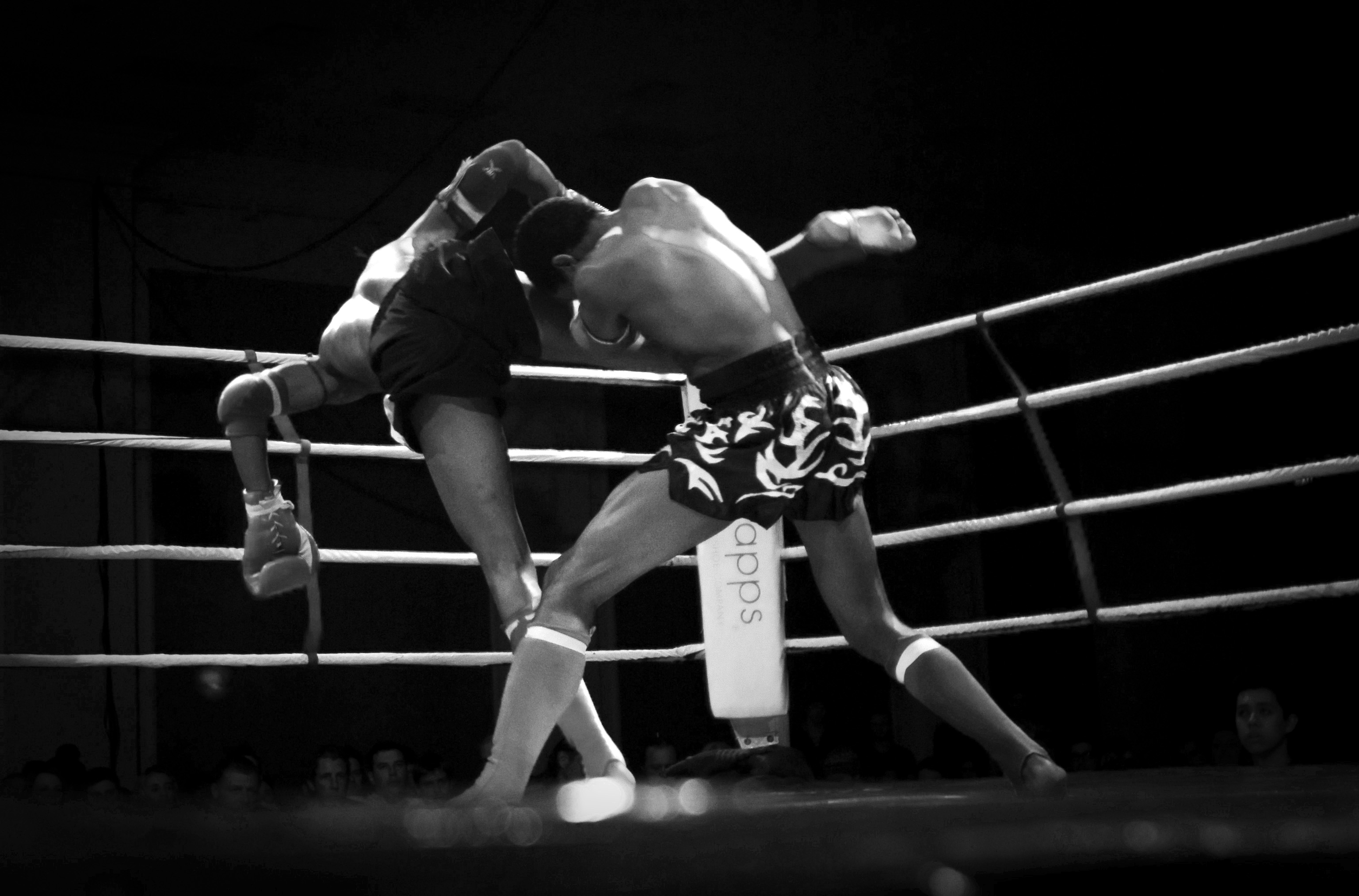 Muay Thai Fight Night II