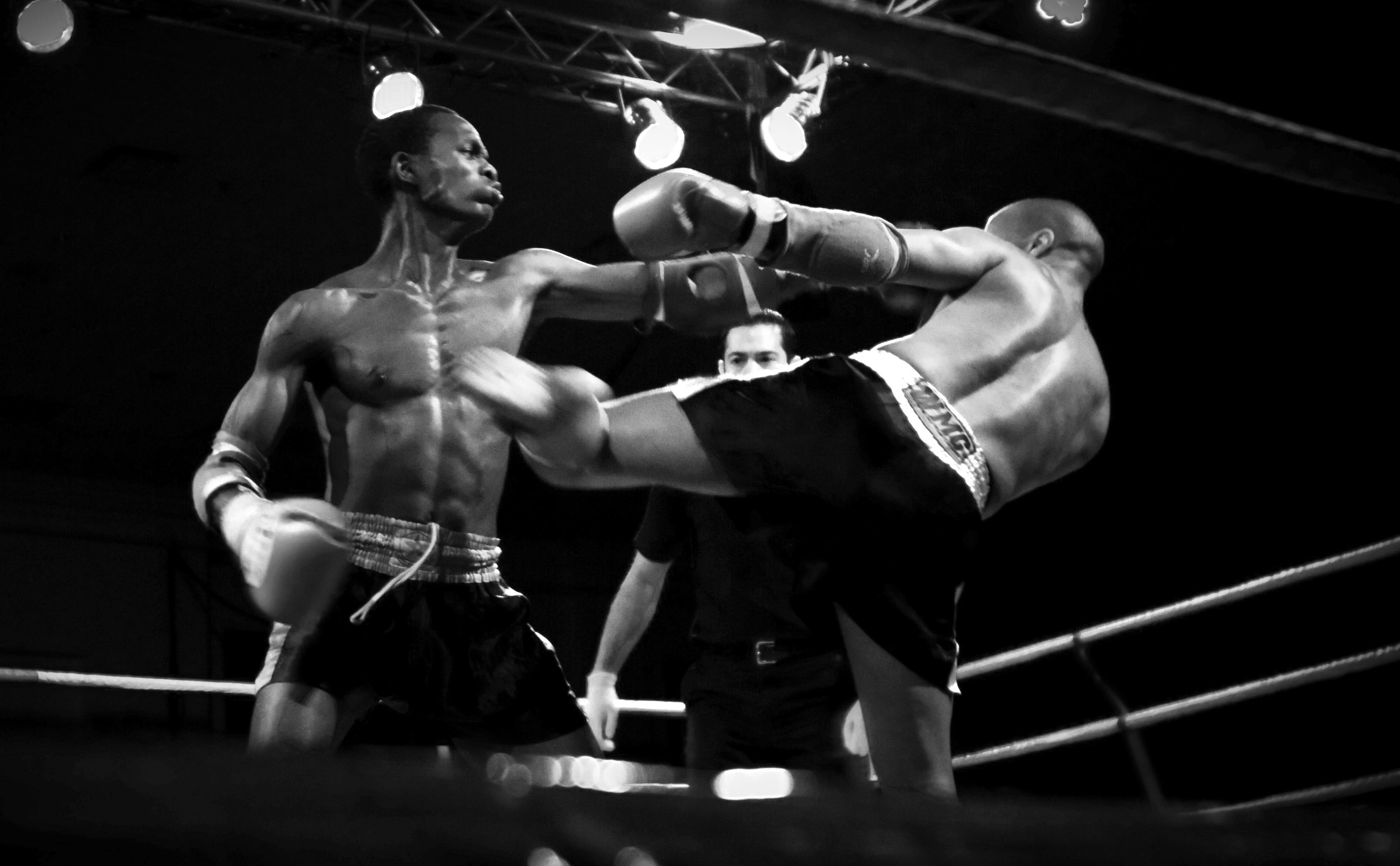 Muay Thai Fight Night II