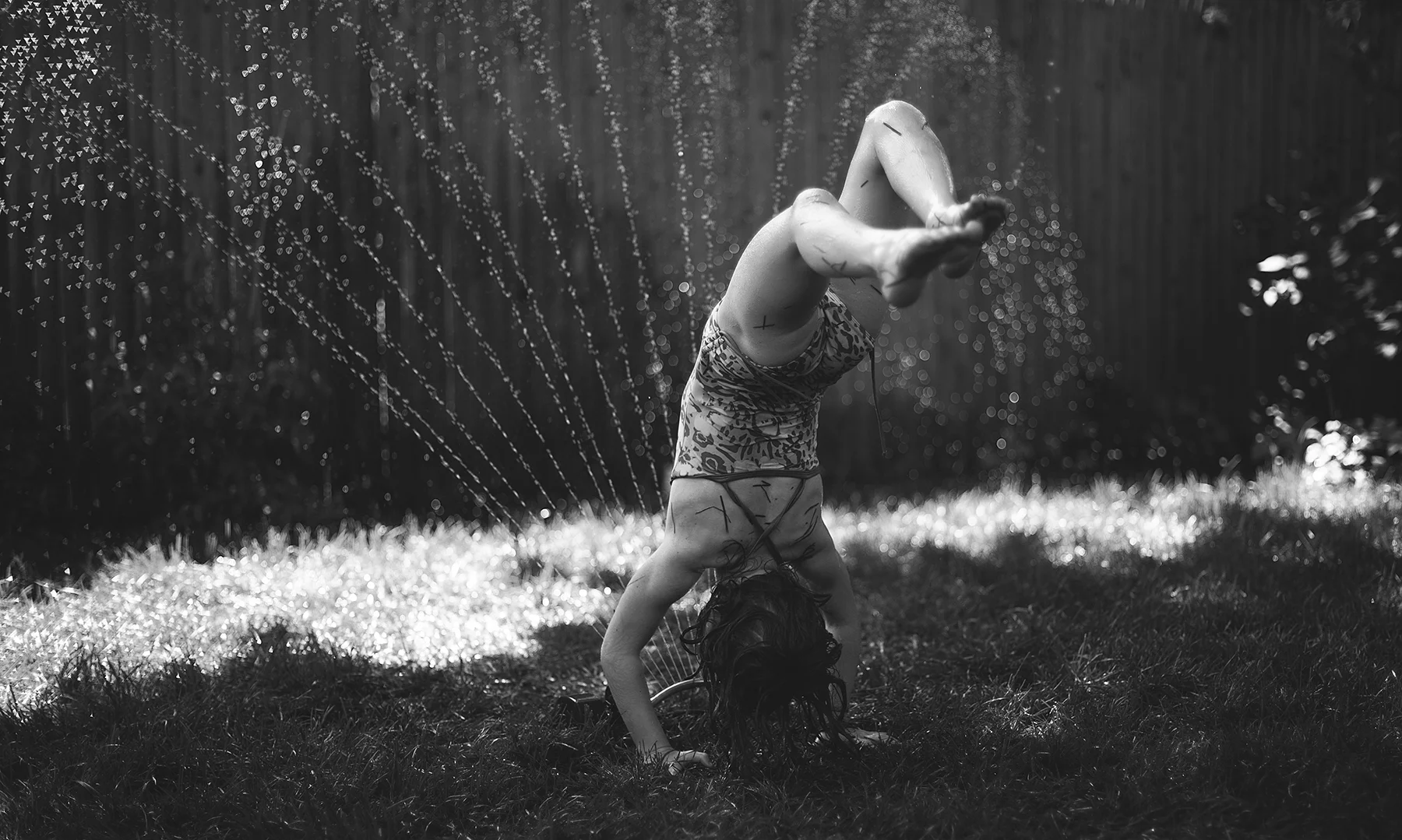 Can we please acknowledge the fact that the out-of-focus water drops form circles on the right and triangles on the left side of the picture?