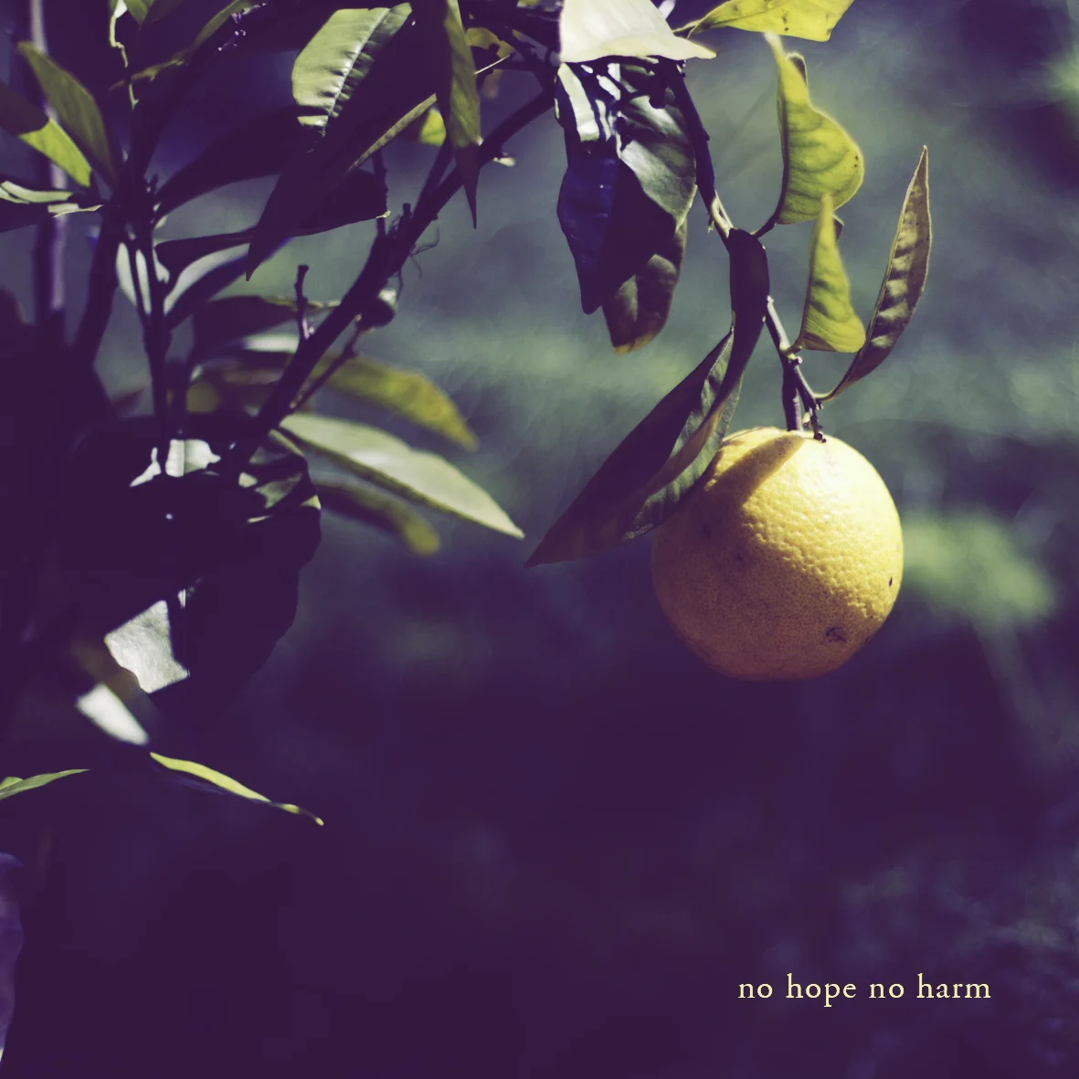 no_hope_no_harm.jpeg