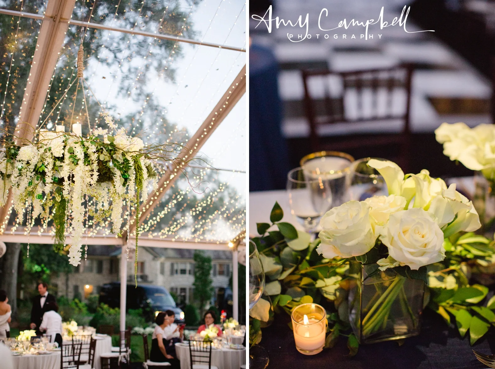 0046_TinaScott_blog_AmyCampbellPhotography.jpg